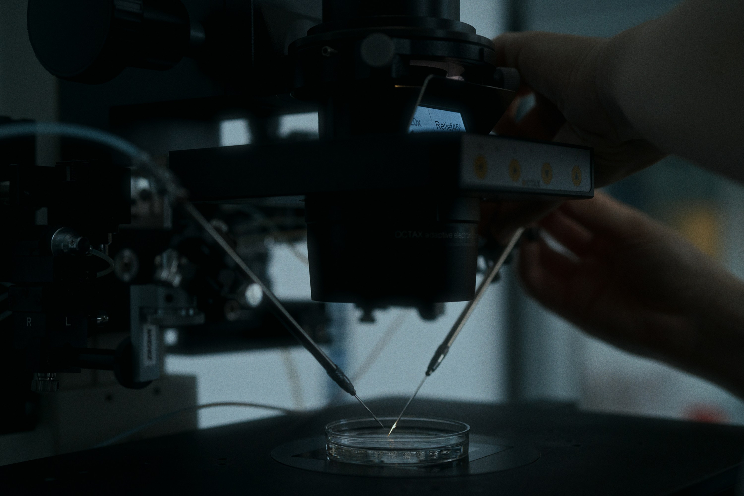 Cl laboratory. Фотограф Юрин Евгений