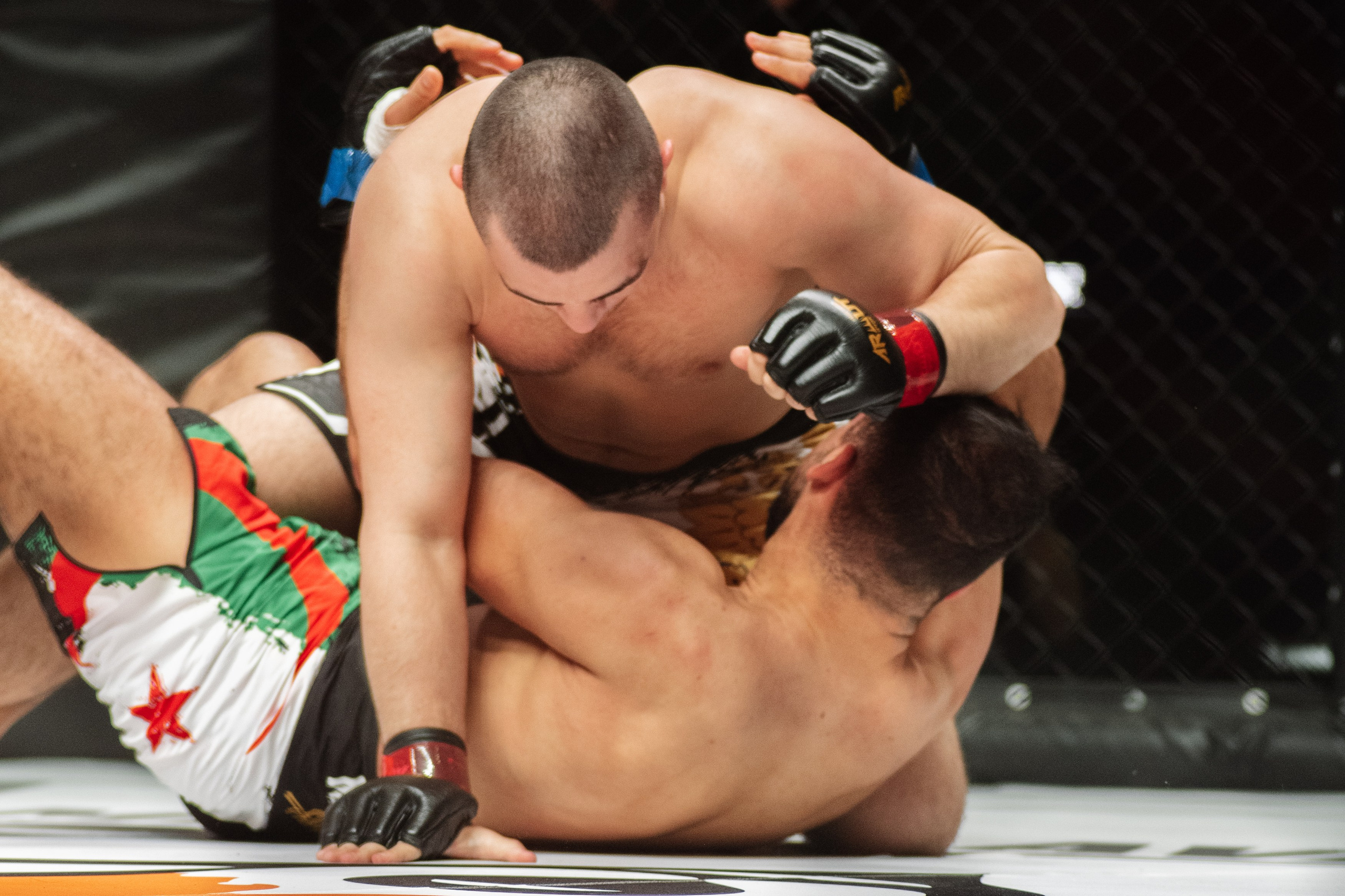 Miroslava Fight