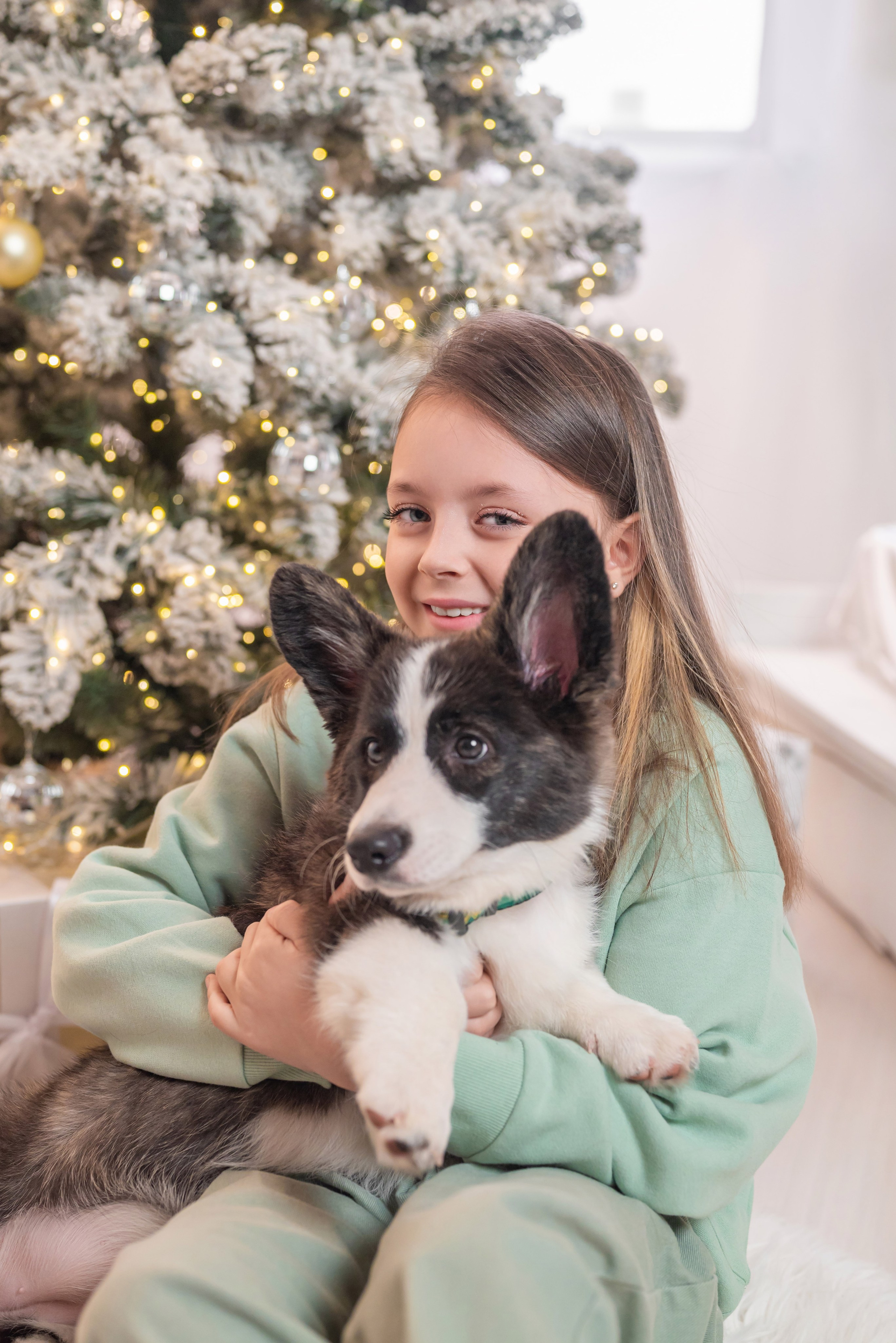 Фотопроект с корги. Фотограф в городе Салават