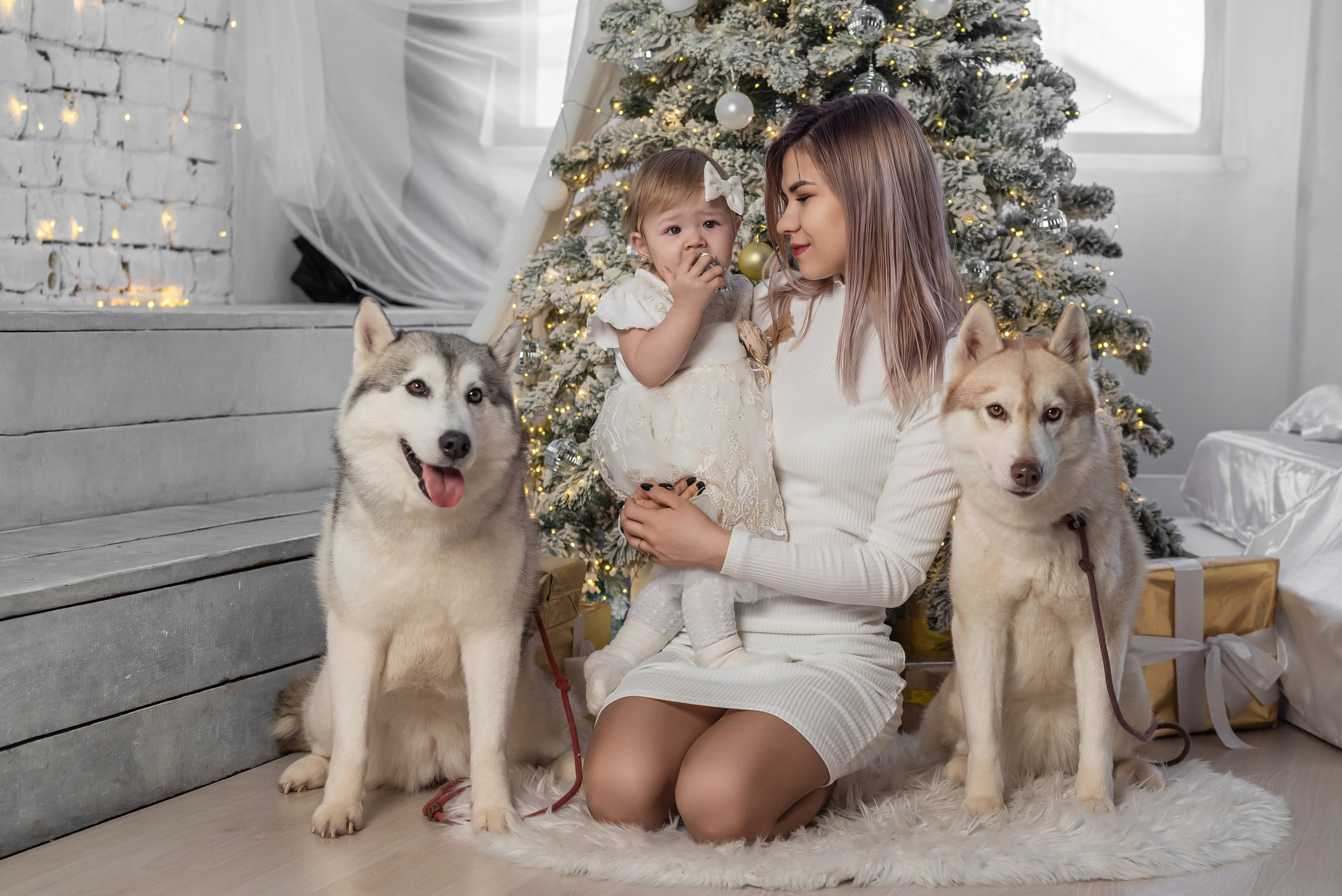 Фотопроект с хаски. Фотограф в городе Салават