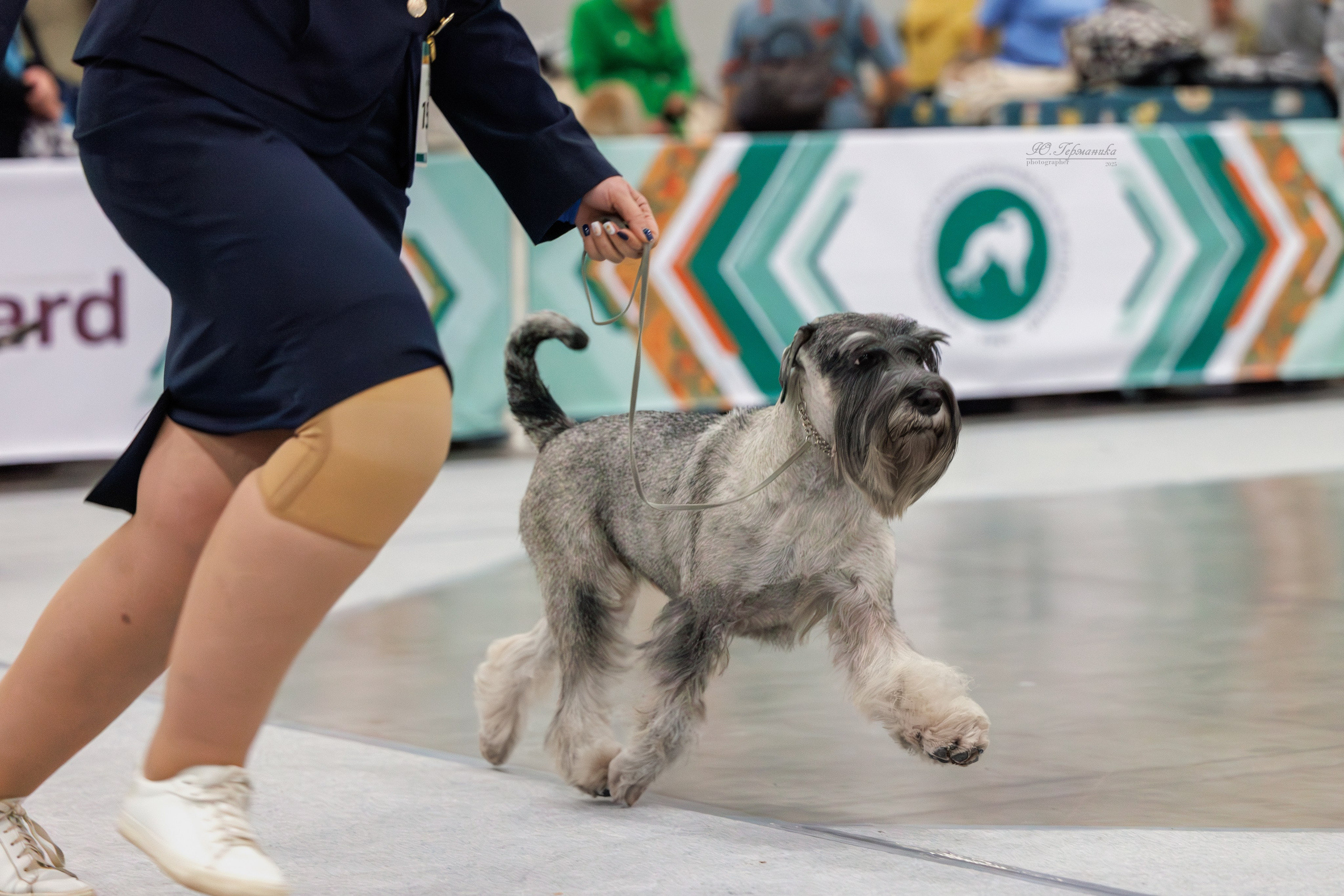 Евразия 15-16.11.2025. Фотограф-анималист Юлия Германика