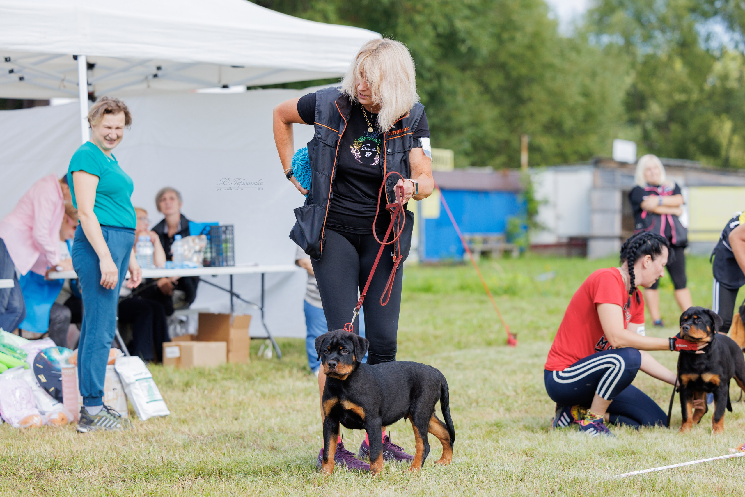 Рязань-Ховрино 10-11.08.2024 3хмоно ротвейлеров. Фотограф-анималист Юлия Германика
