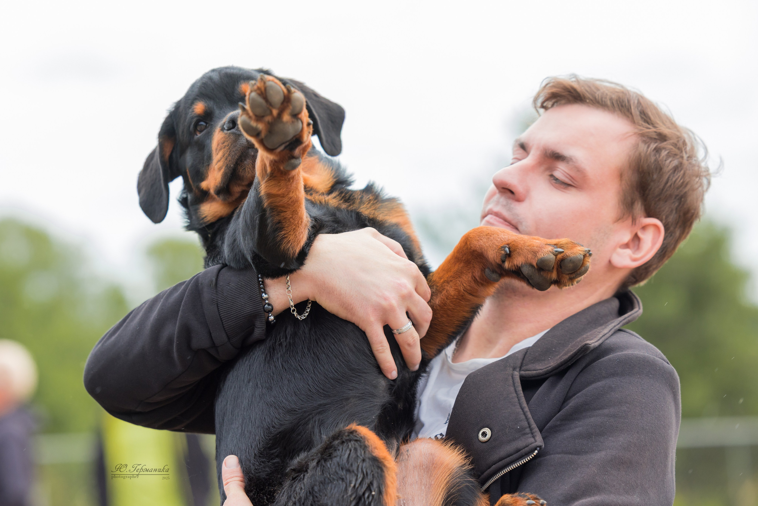 Тверь ротвейлеры 5-6.07.2025. Фотограф-анималист Юлия Германика