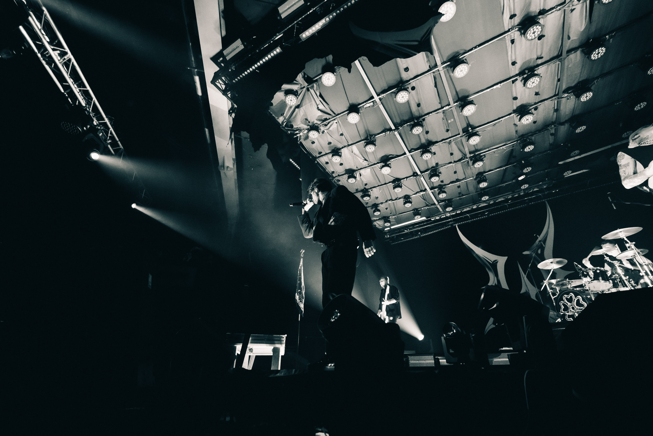 WILDWAYS. PASHAHARCE PHOTOGRAPHER & VIDEOGRAPHER