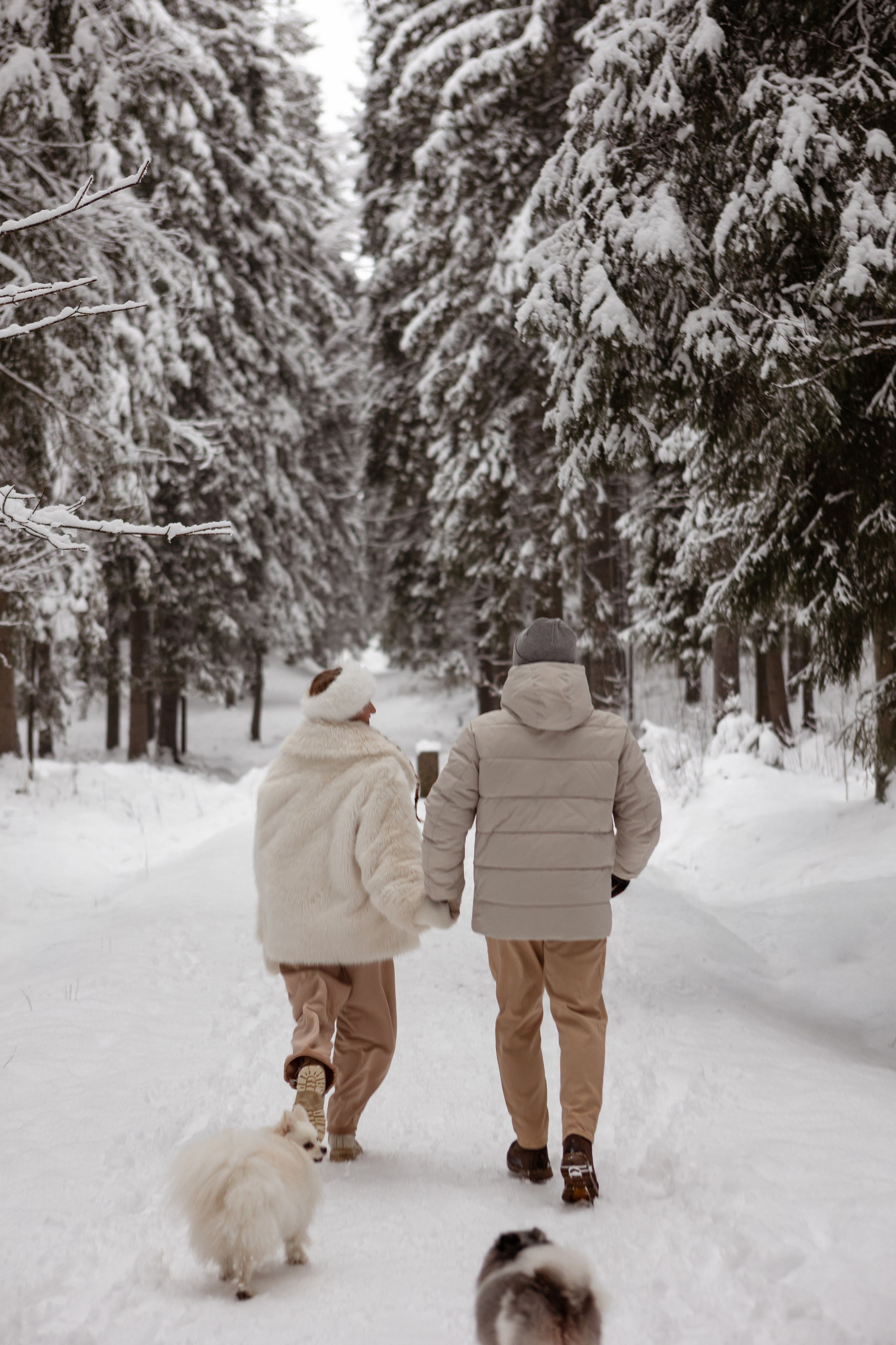 Новогодняя фотосессия с собачками в шуваловском парке. Свадебный фотограф в СПБ | Санкт-Петербурге Анастасия Рахимгулова