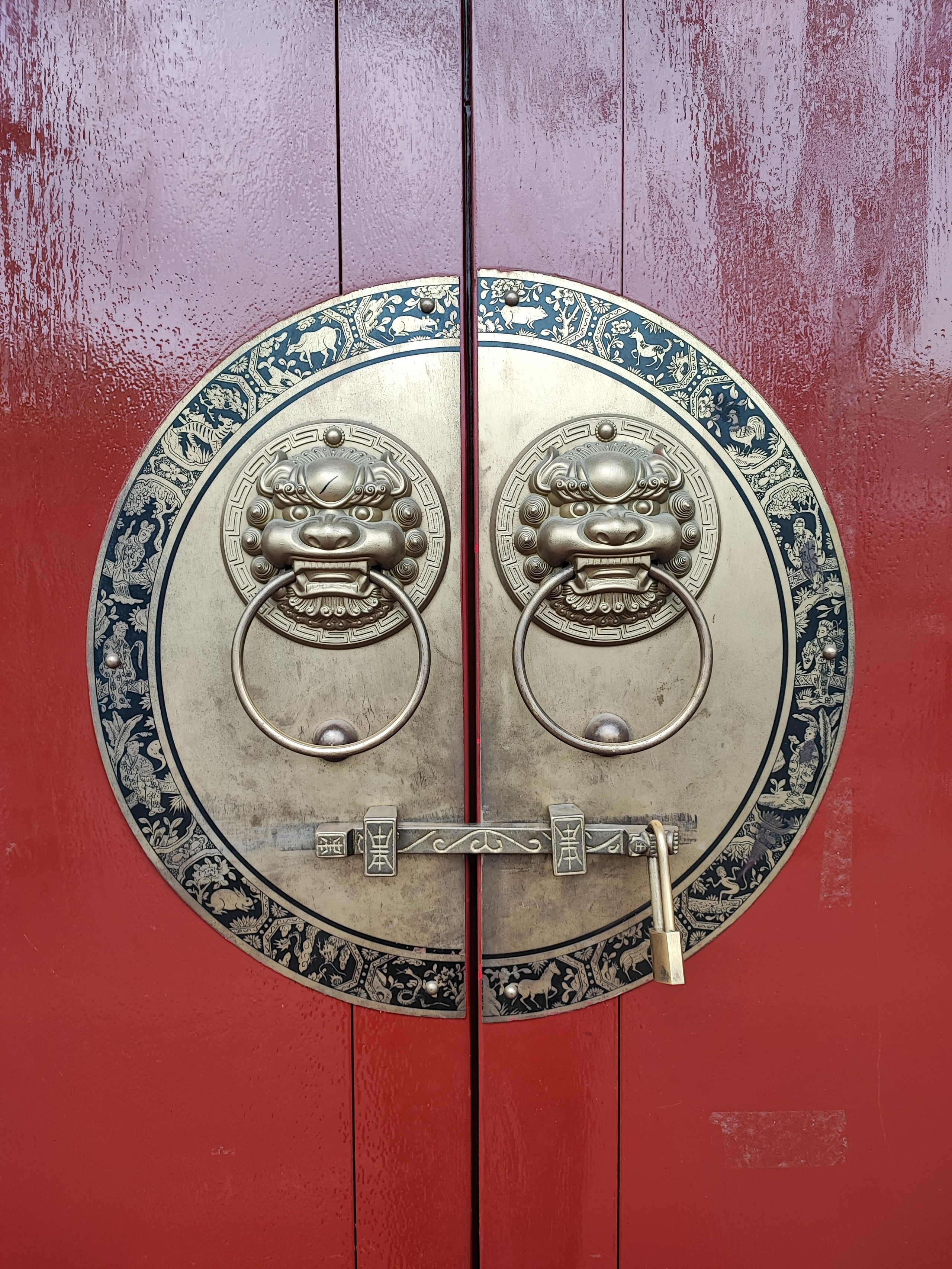 Намобилкус китайский. Репортажный фотограф Алексей Пирязев