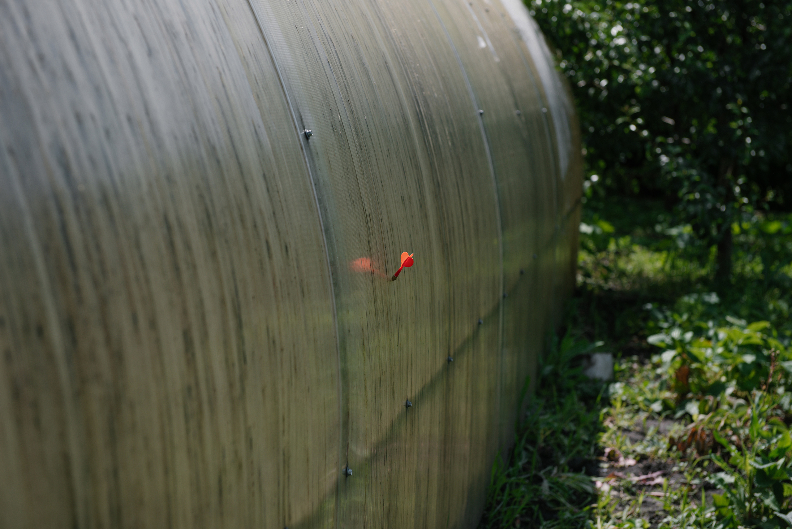 Свадьба Сергея и Виктории. Свадебный и семейный фотограф в Мценске Александр Ефименко