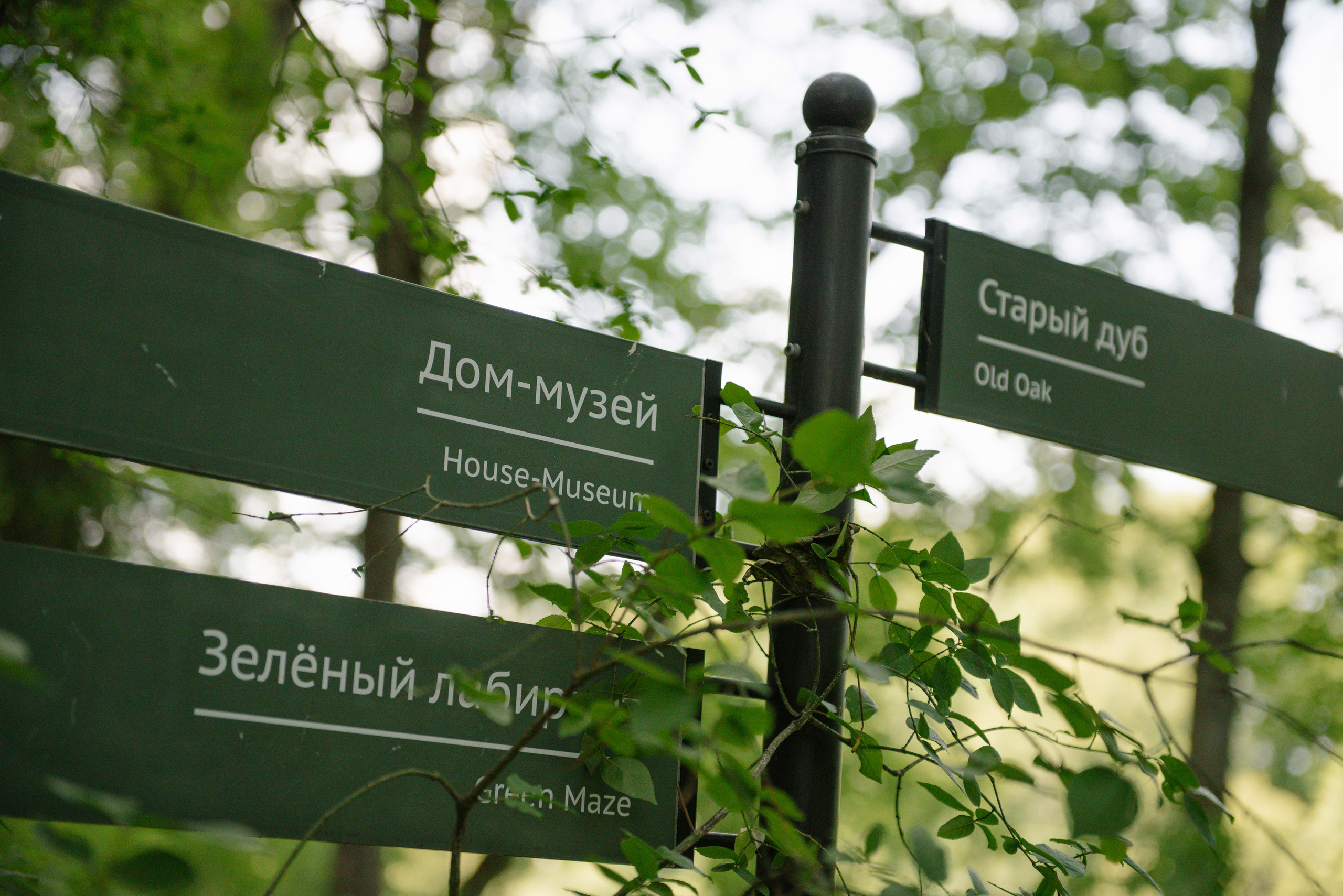 Свадьба Сергея и Виктории. Свадебный и семейный фотограф в Мценске Александр Ефименко