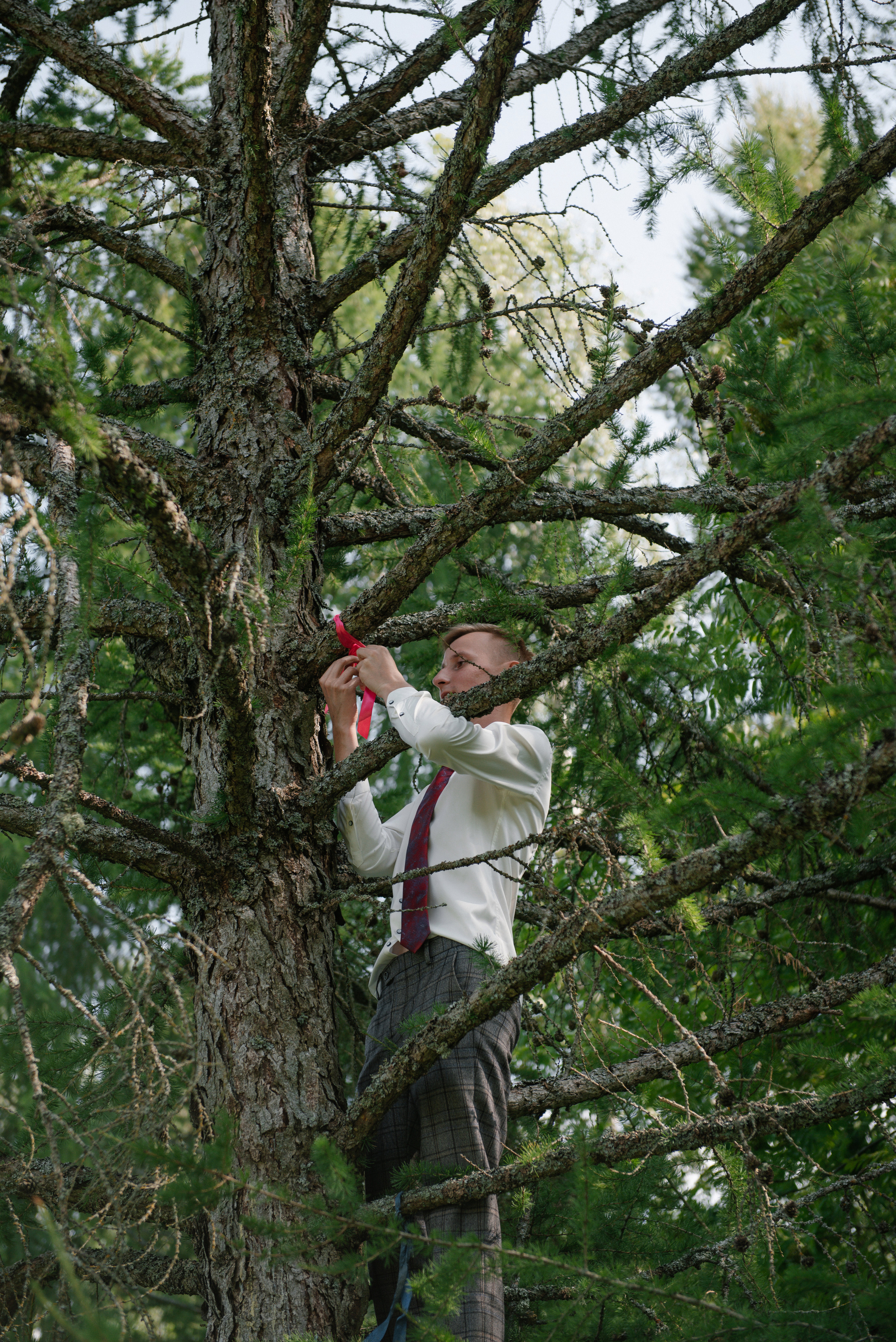 Свадьба Сергея и Виктории. Свадебный и семейный фотограф в Мценске Александр Ефименко