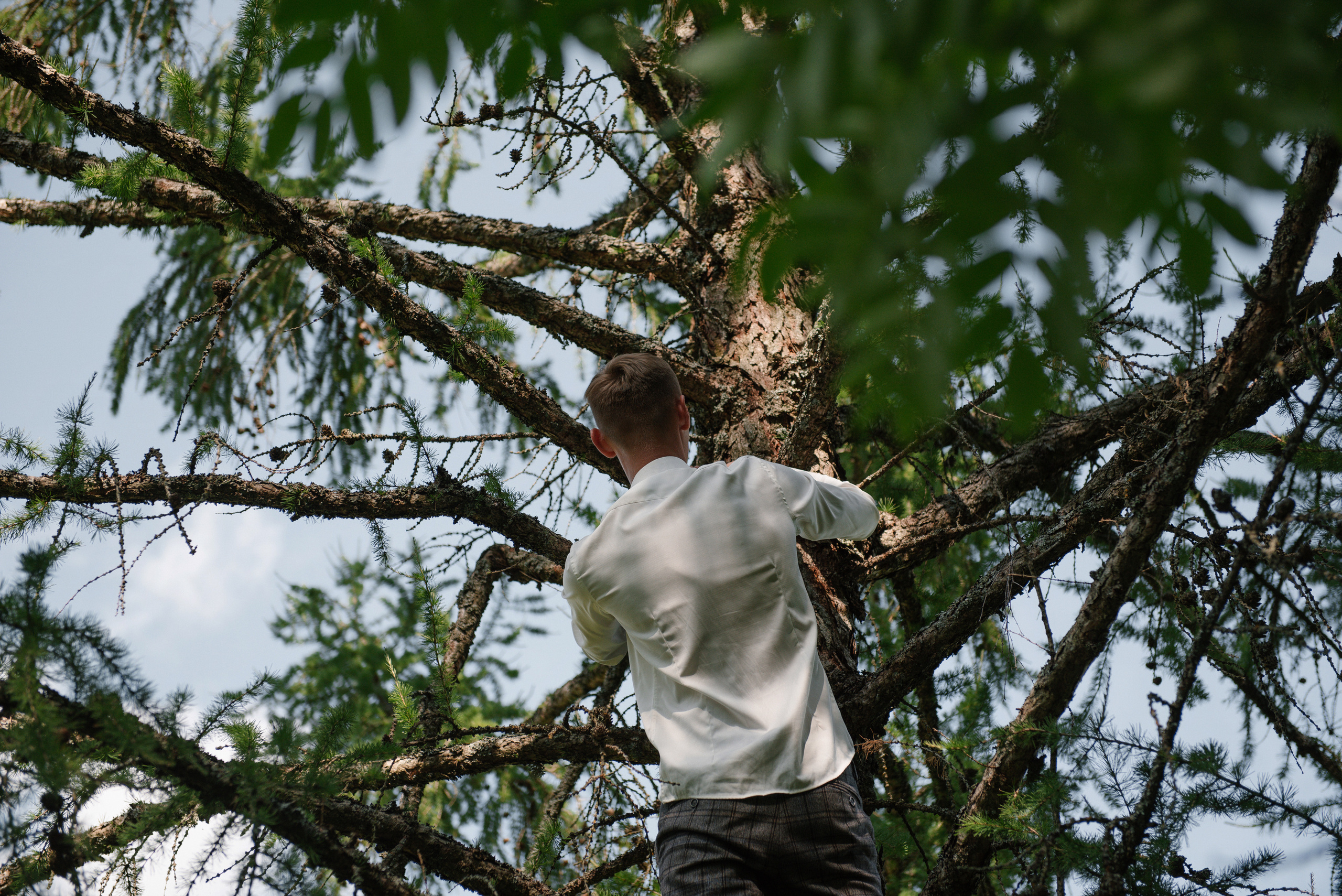 Свадьба Сергея и Виктории. Свадебный и семейный фотограф в Мценске Александр Ефименко
