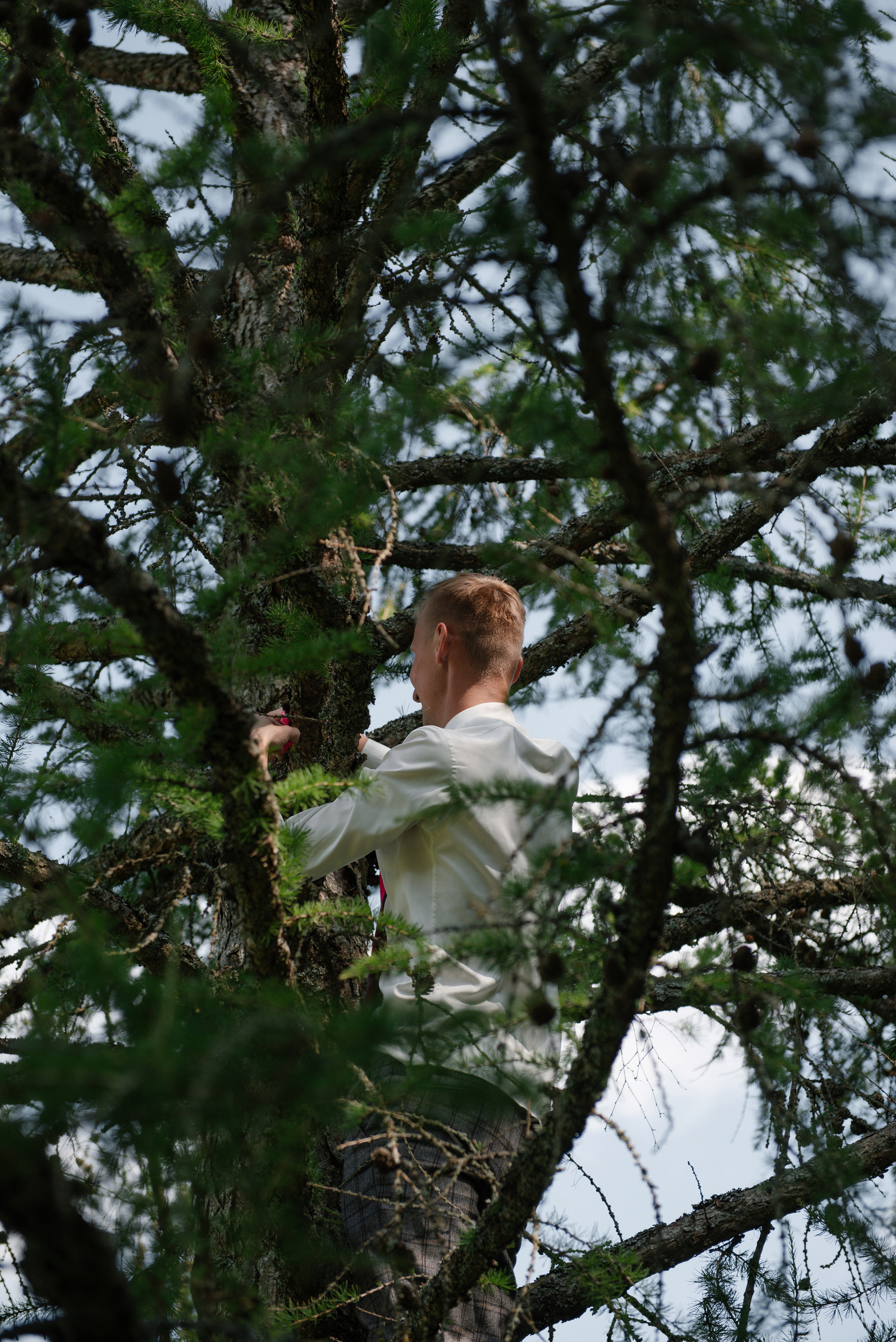 Свадьба Сергея и Виктории. Свадебный и семейный фотограф в Мценске Александр Ефименко