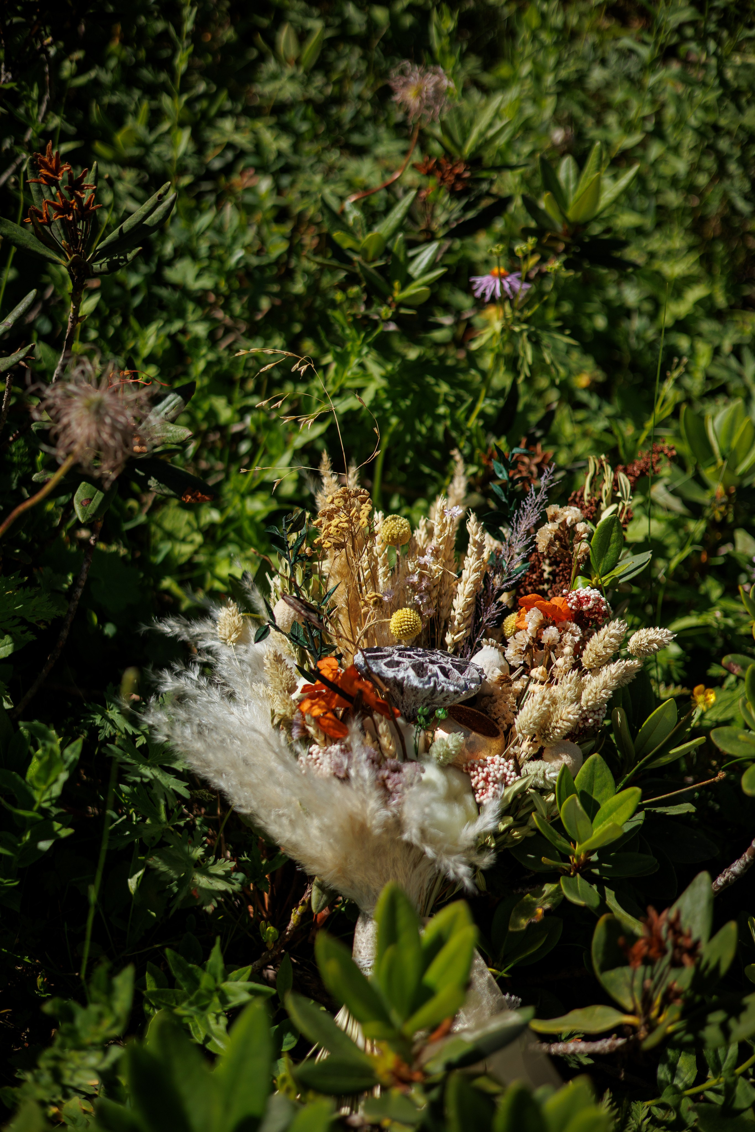 Сочи Белла и Миша. Марковкина КрисТина