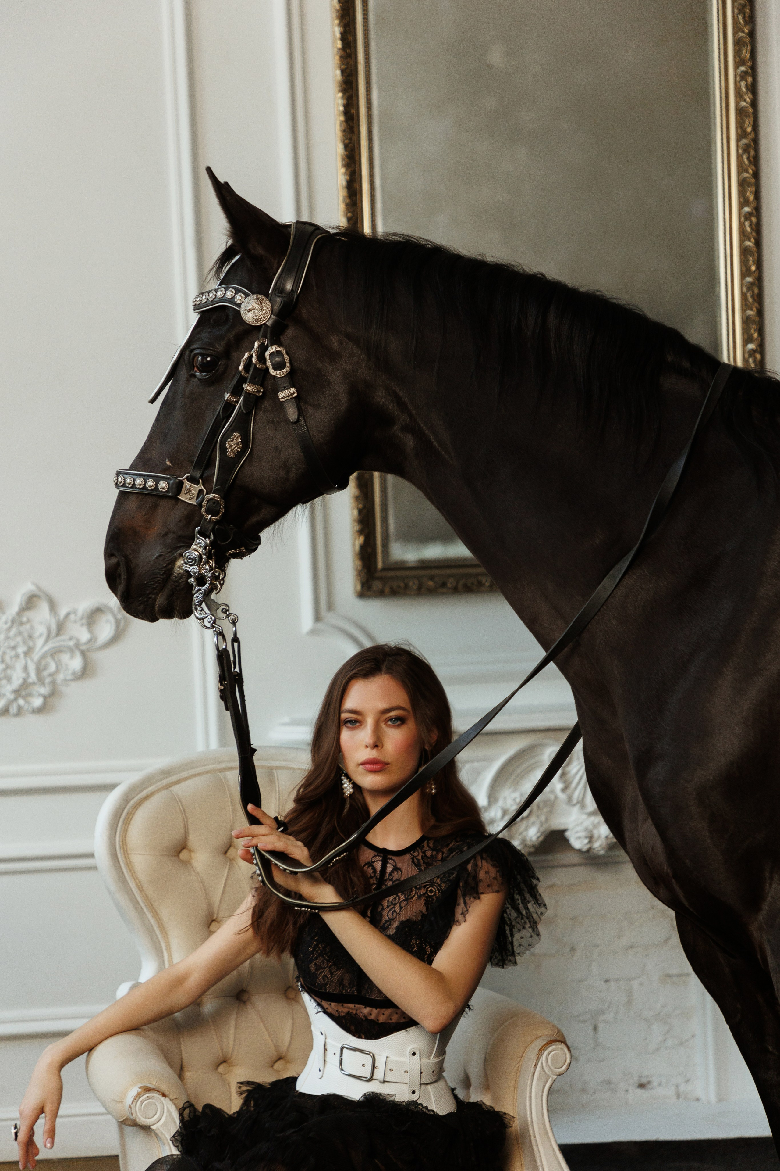 Лошадь в студии. Марковкина КрисТина