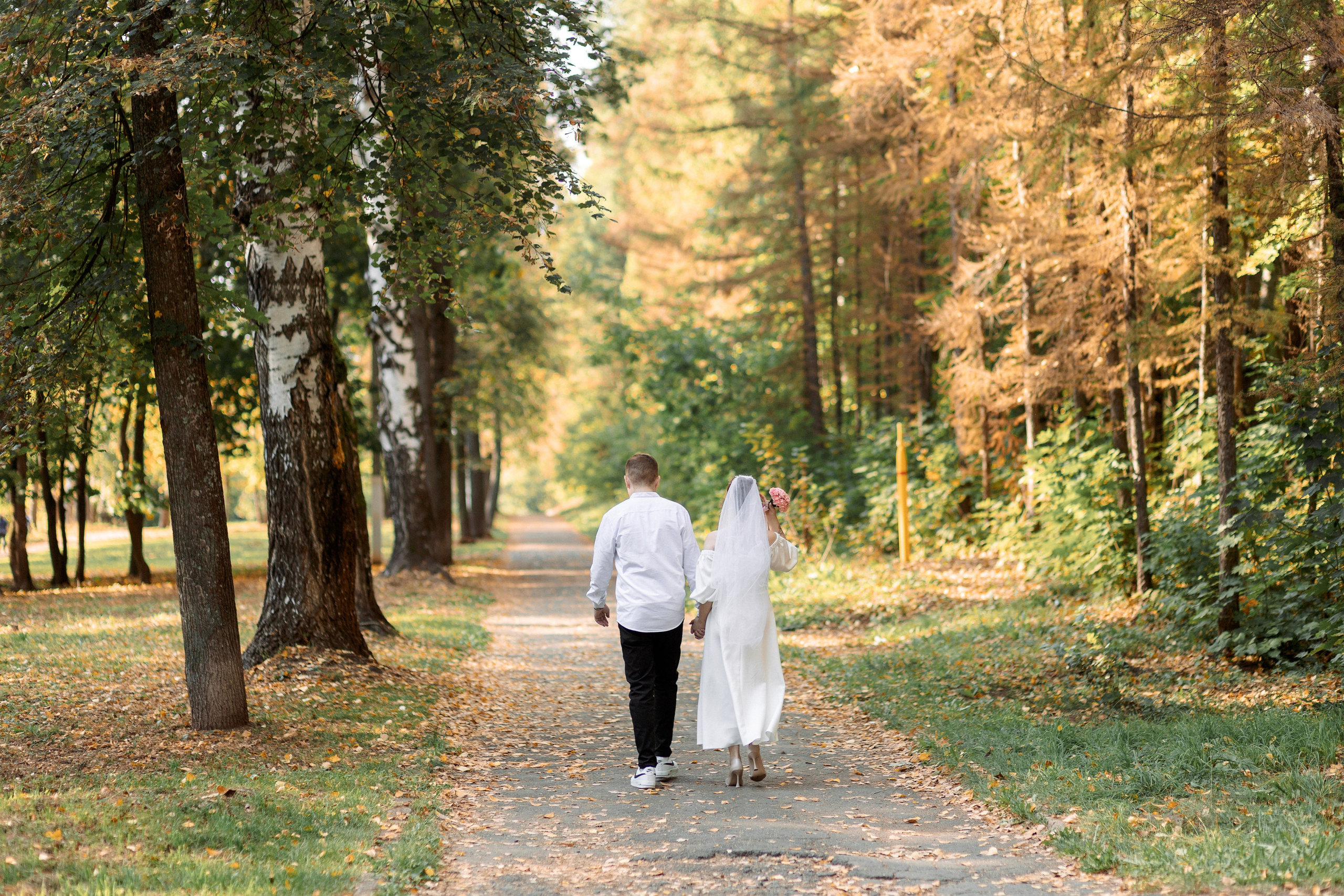 СВАДЬБА: Анастасия и Григорий. Все фото. Профессиональный фотограф в Ижевске Леша Петров