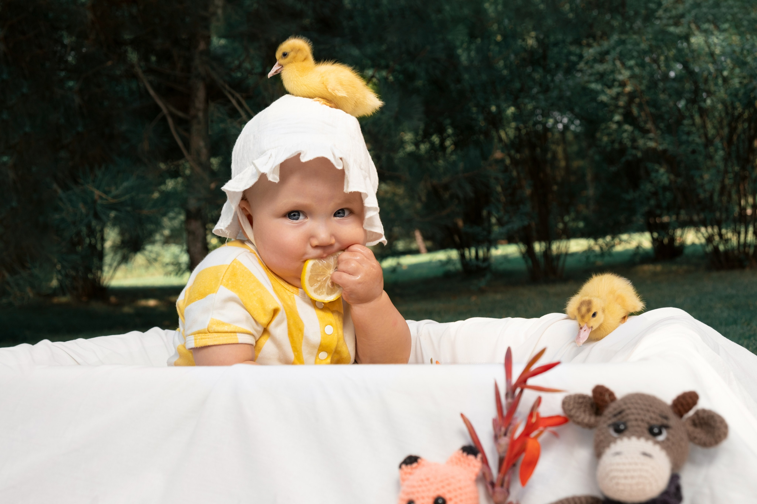 Разные фото семейные. Профессиональная фотосъемка в Крыму. Натуральные эмоции и живые кадры. Забронируйте дату прямо сейчас!