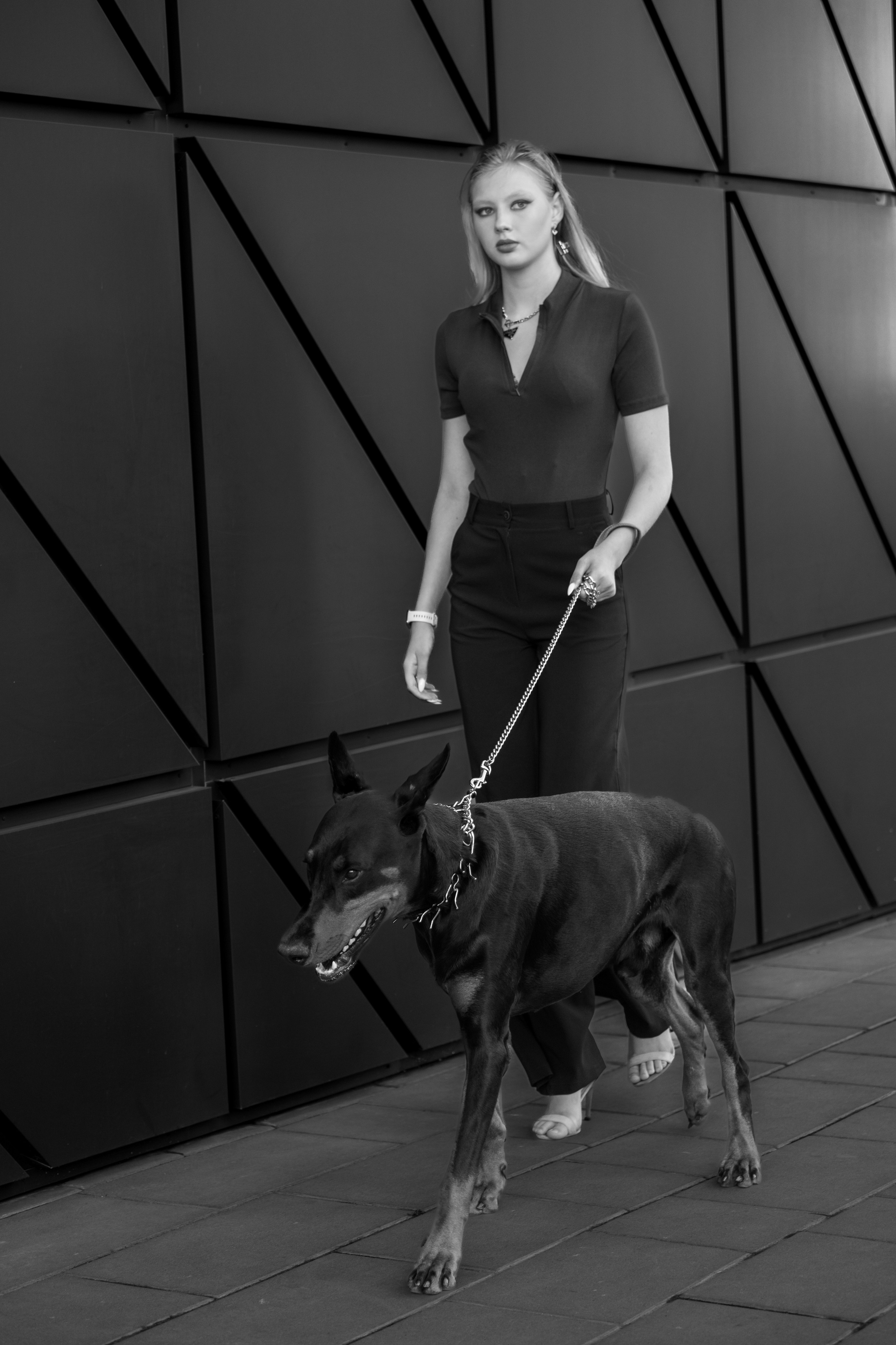 Фотосессия с Доберманом. Профессиональная фотосъемка в Крыму. Натуральные эмоции и живые кадры. Забронируйте дату прямо сейчас!