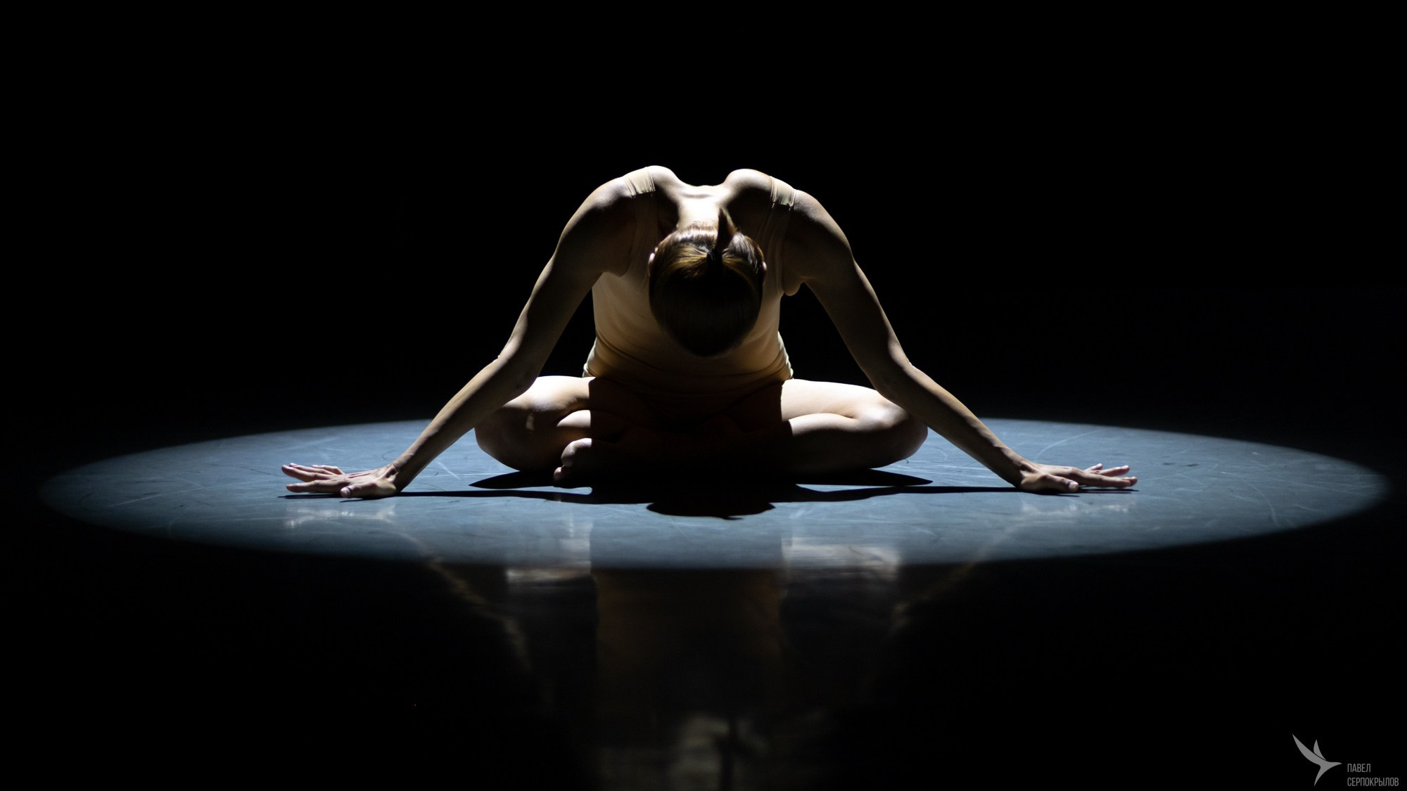 Евгения Сизмина, WATERFORMS