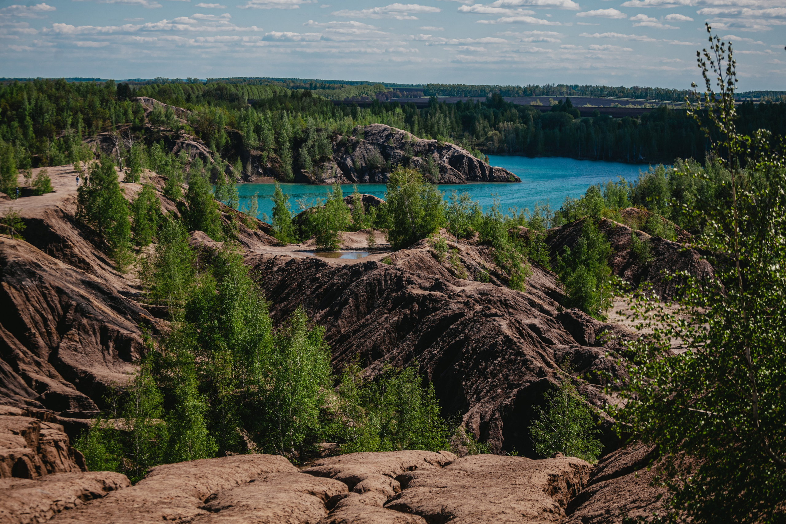 Кондуки. Фотограф-анималист Татьяна Степанова