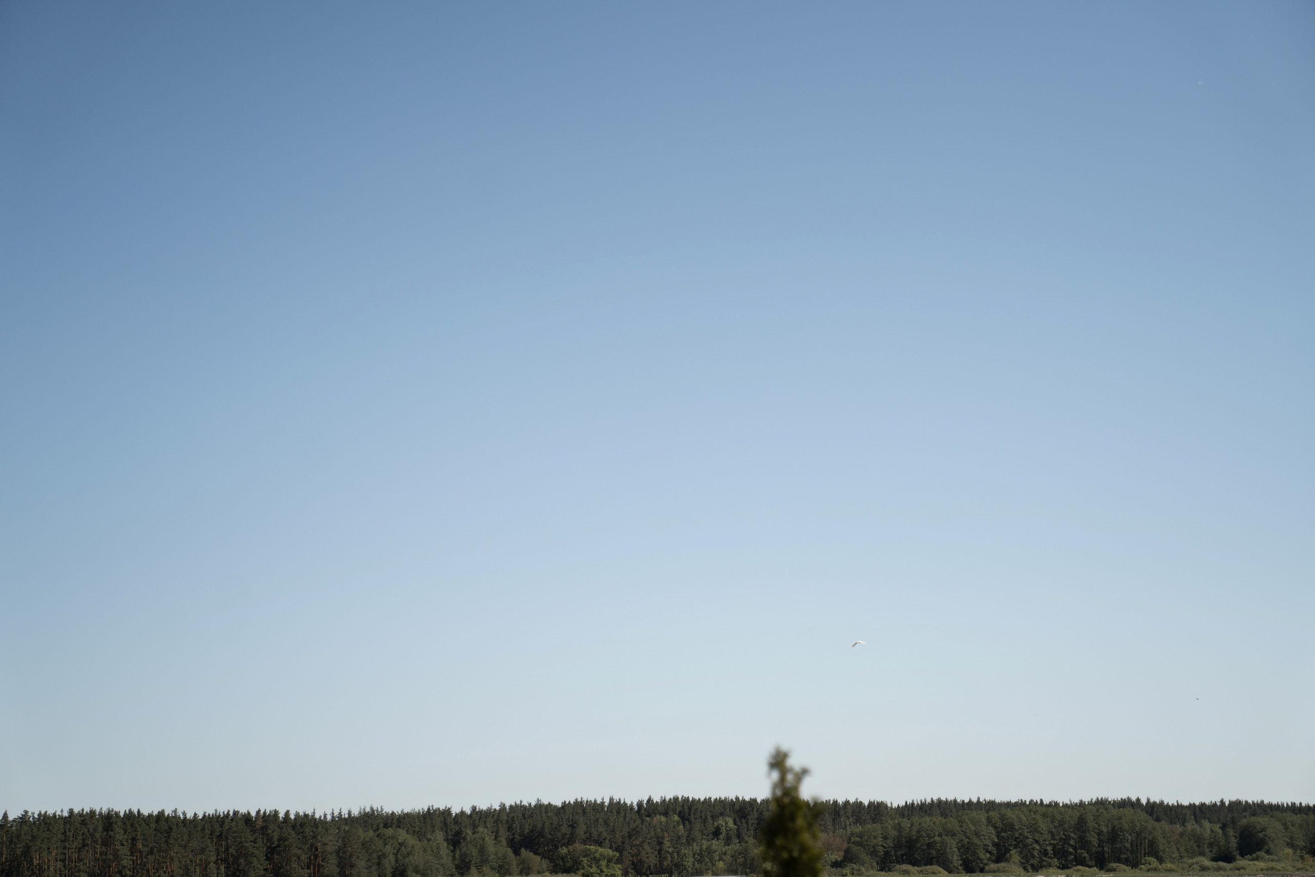 Екатерина и Алексей. Я Ира и я фотографирую свадьбы более 10 лет
