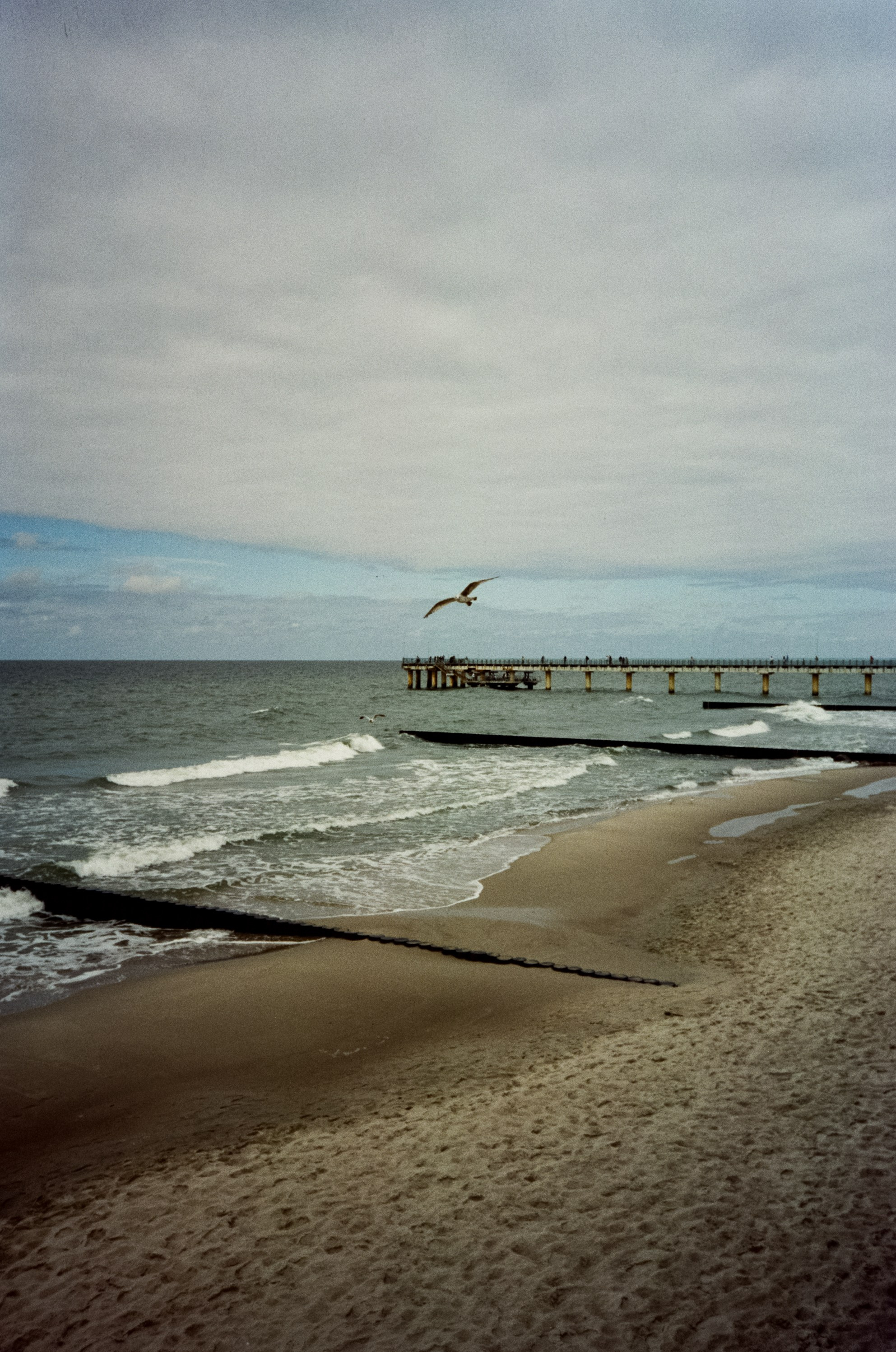 Зеленоградск. Море, пирс и вид на Куршскую косу. Фотограф-документалист Мария Осокина