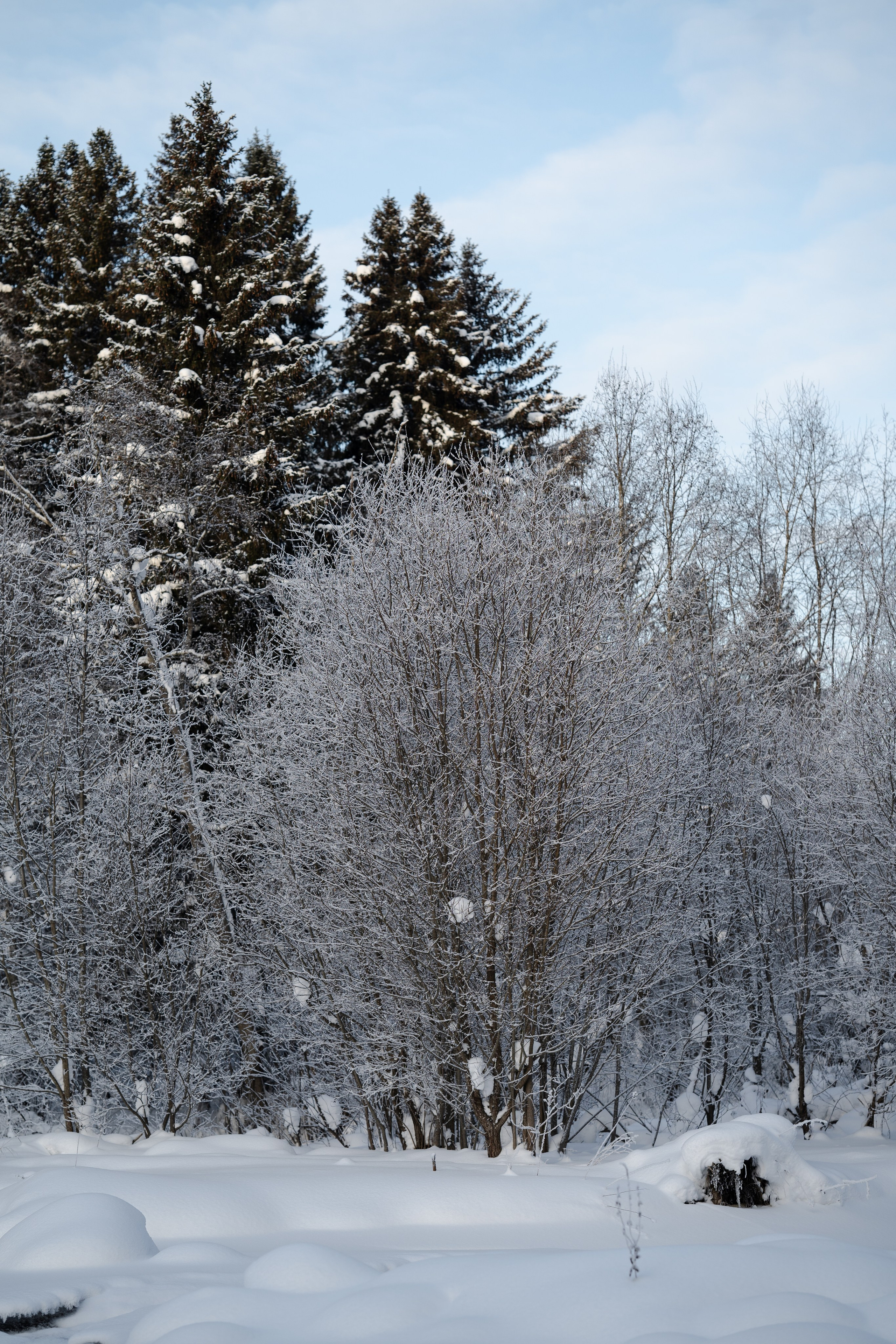 Природа. Фотограф Ирина Иванова