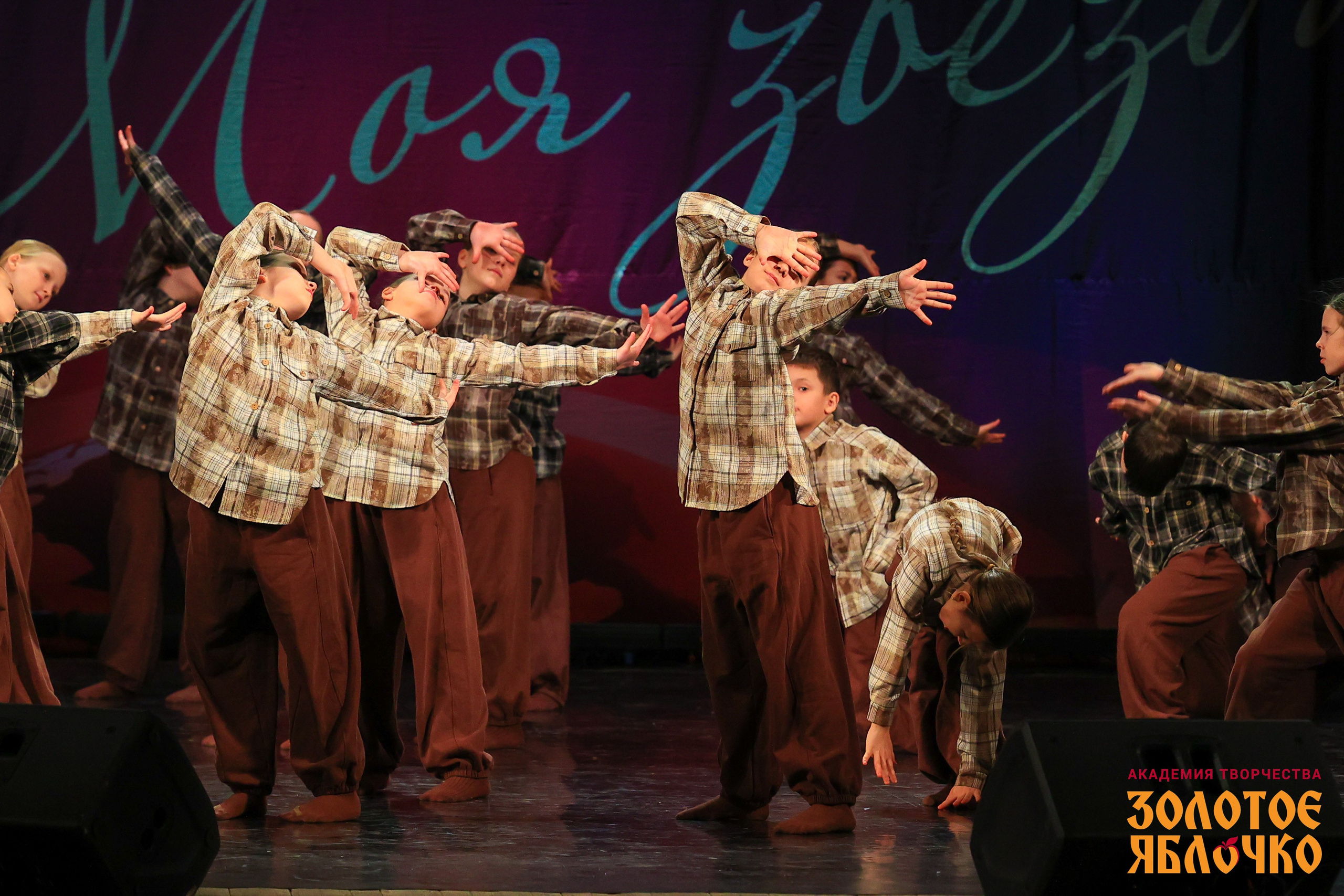 7 февраля, г. Петрозаводск. Золотое яблочко