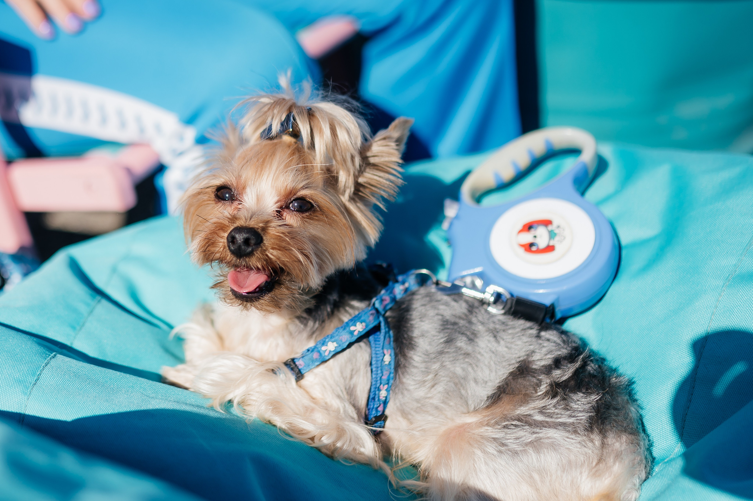 IRONSTAR (OZON FRESH, FAHRENHEIT, STELLAR AQUA). Фотограф Илья Бызов, Свадебный и репортажный фотограф Сочи