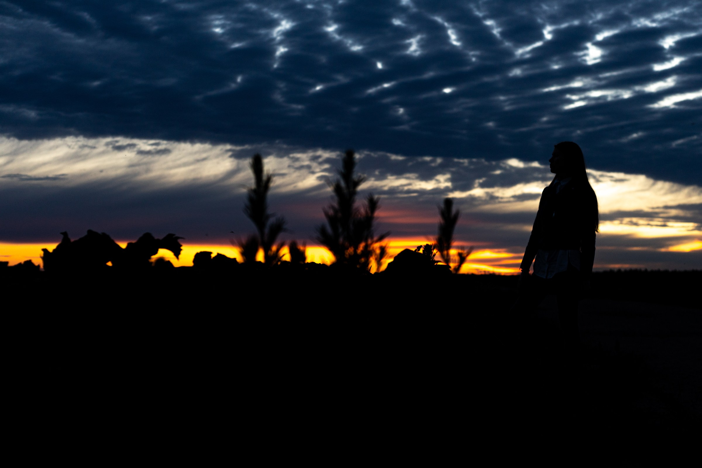 Портфолио. Анатолий Филенков фотограф в Санкт-Петербурге