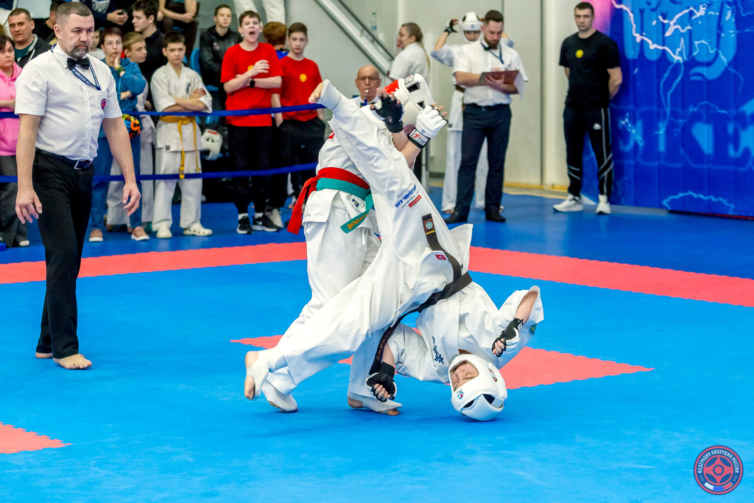 Международный турнир по киокушин «Открытый кубок Seiken». Репортажная съемка в Москве и области. Анималистика