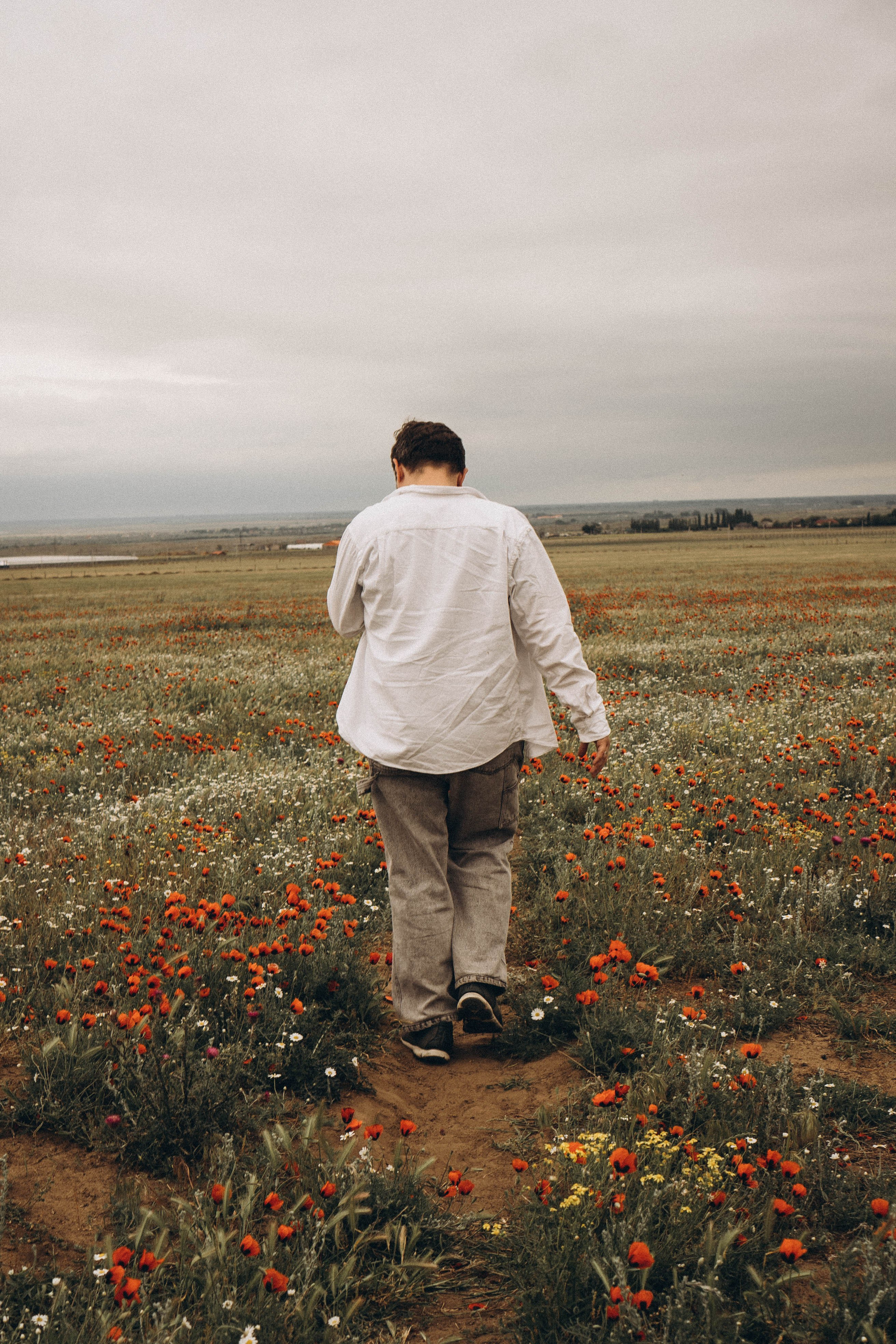 Маки. Профессиональный фотограф, Санкт-Петербург — Виктория Богомолова