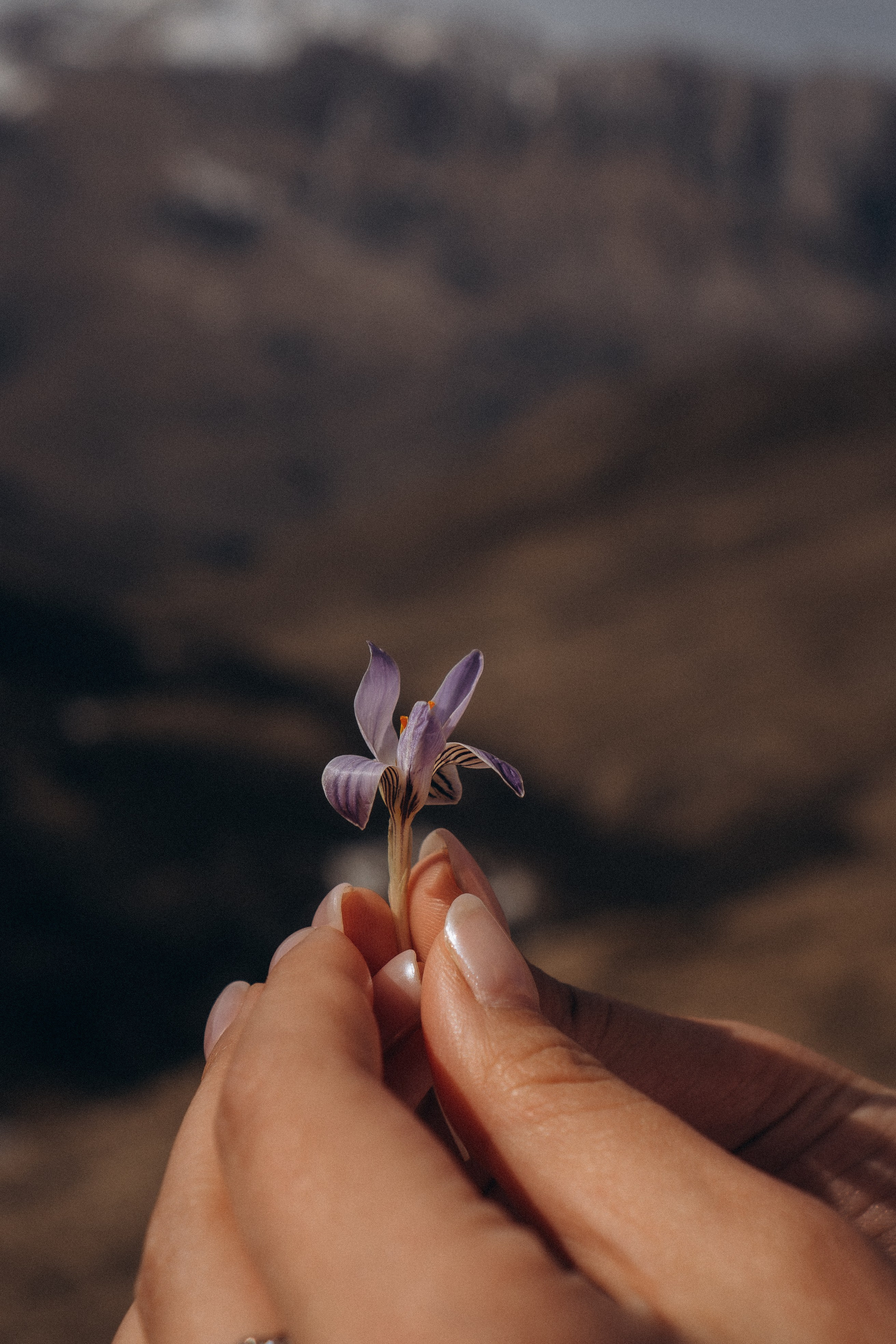 ОСЕТИЯ. Профессиональный фотограф, Санкт-Петербург — Виктория Богомолова