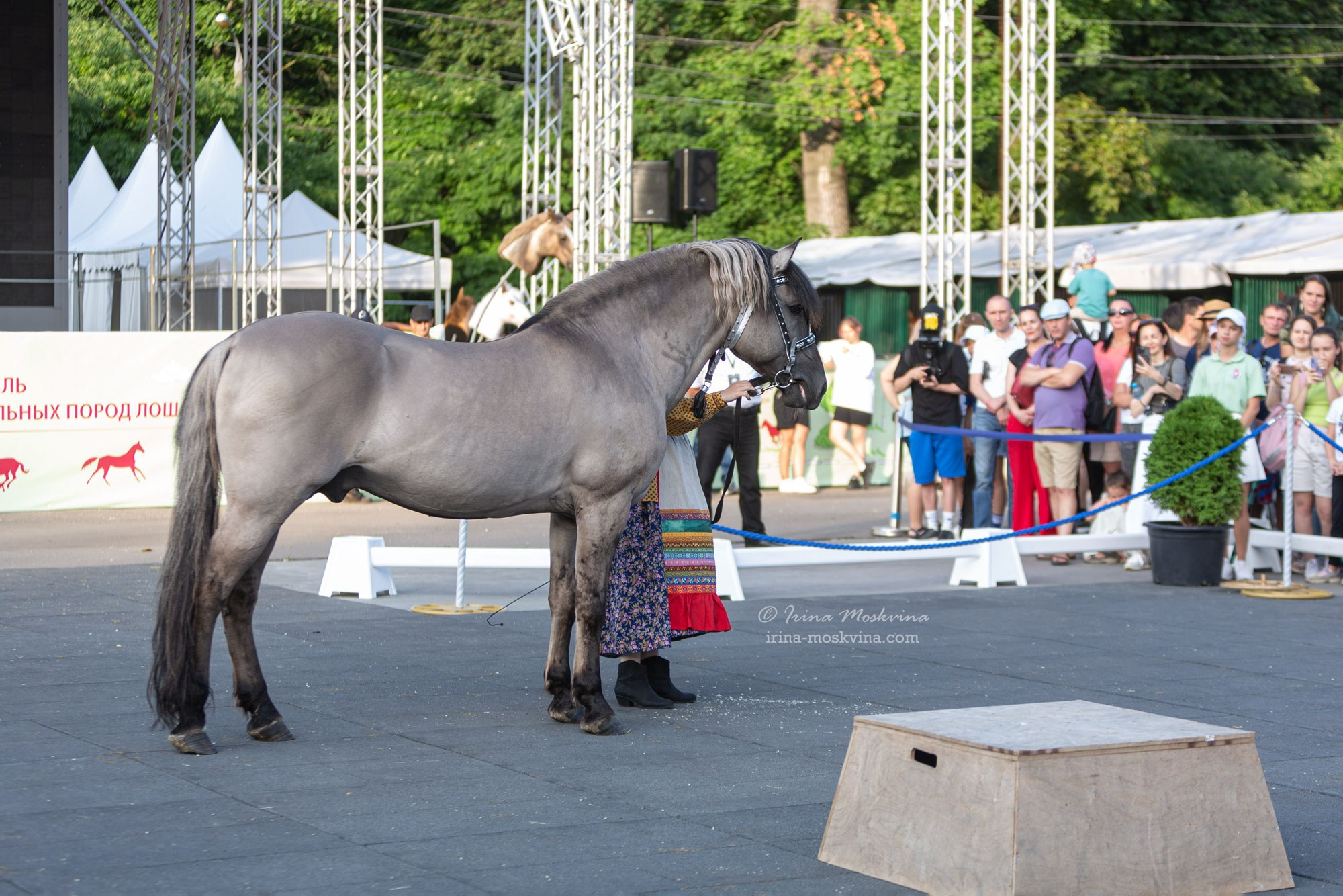 Вятская порода