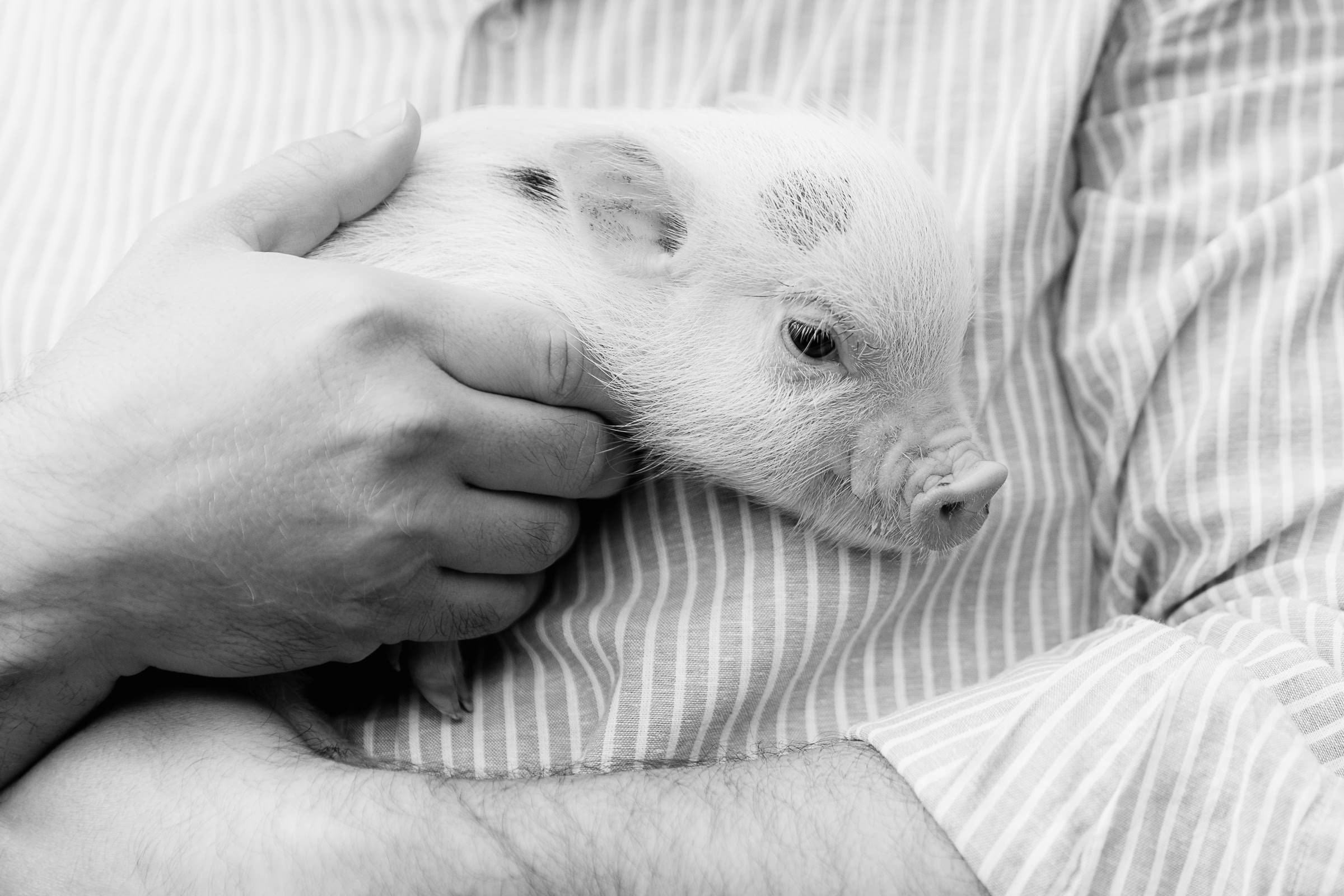Promenade. Семейная и детская фотография в Москве