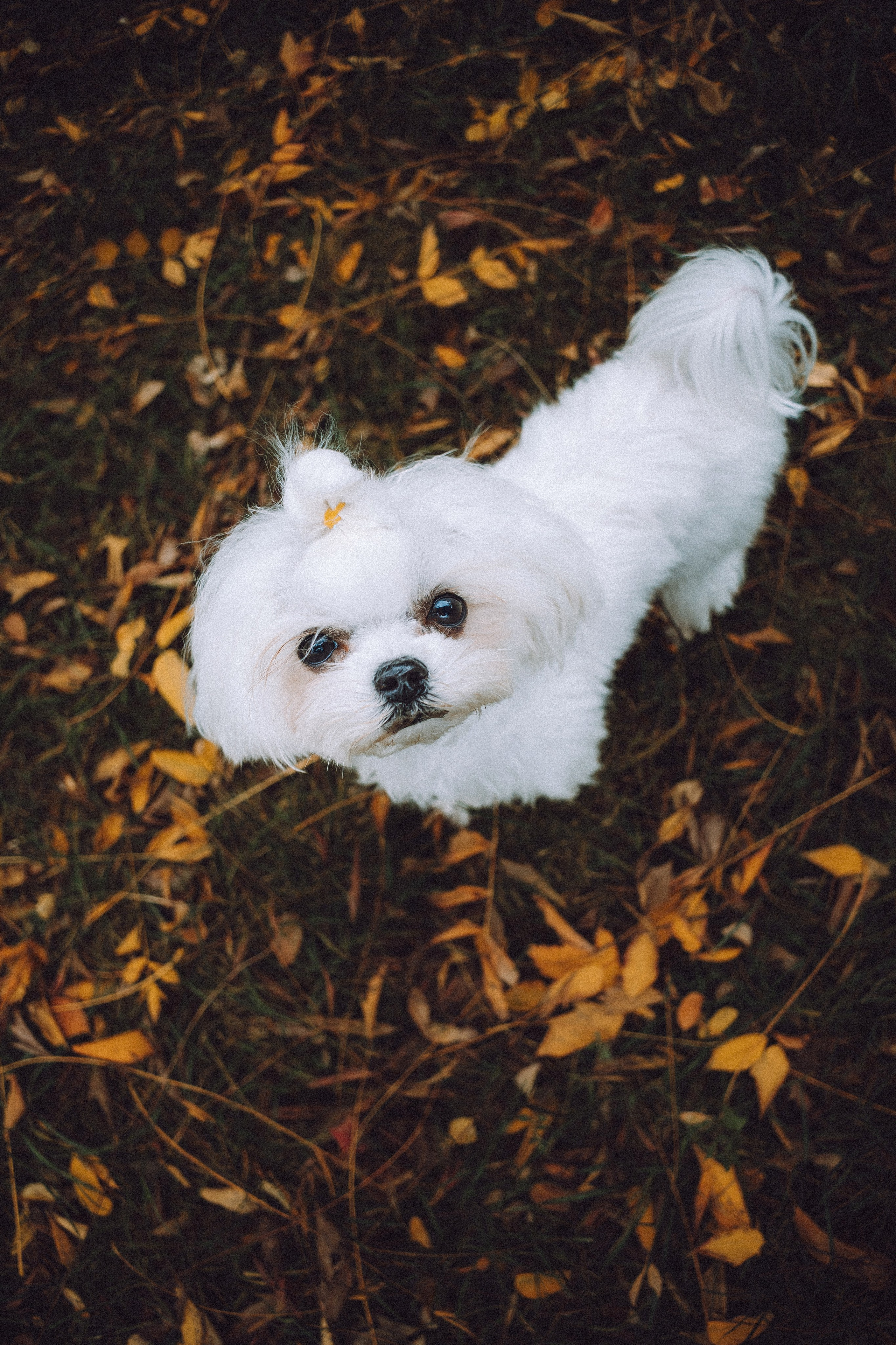 Настя и Гоша