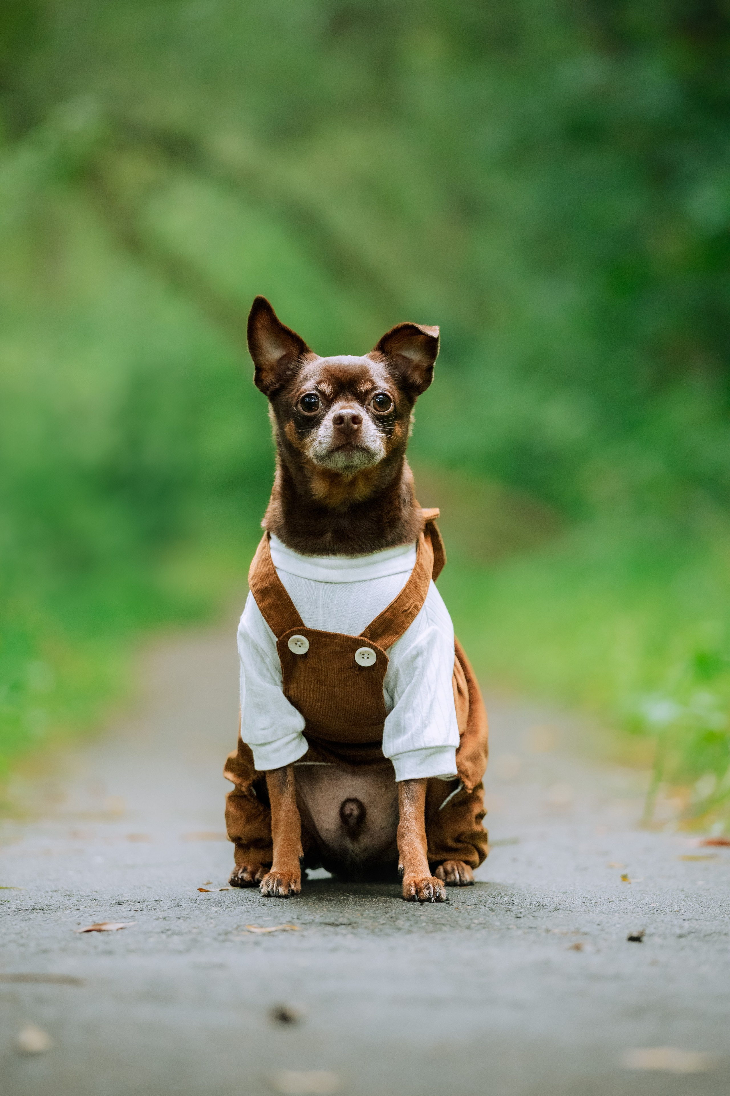 Юля и Леонид. Фотограф-анималист Татьяна Степанова