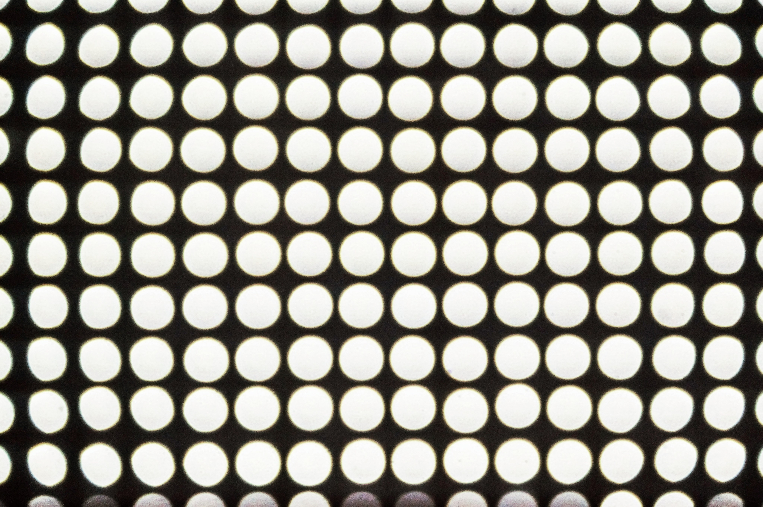 Автор: Мария Кокорина