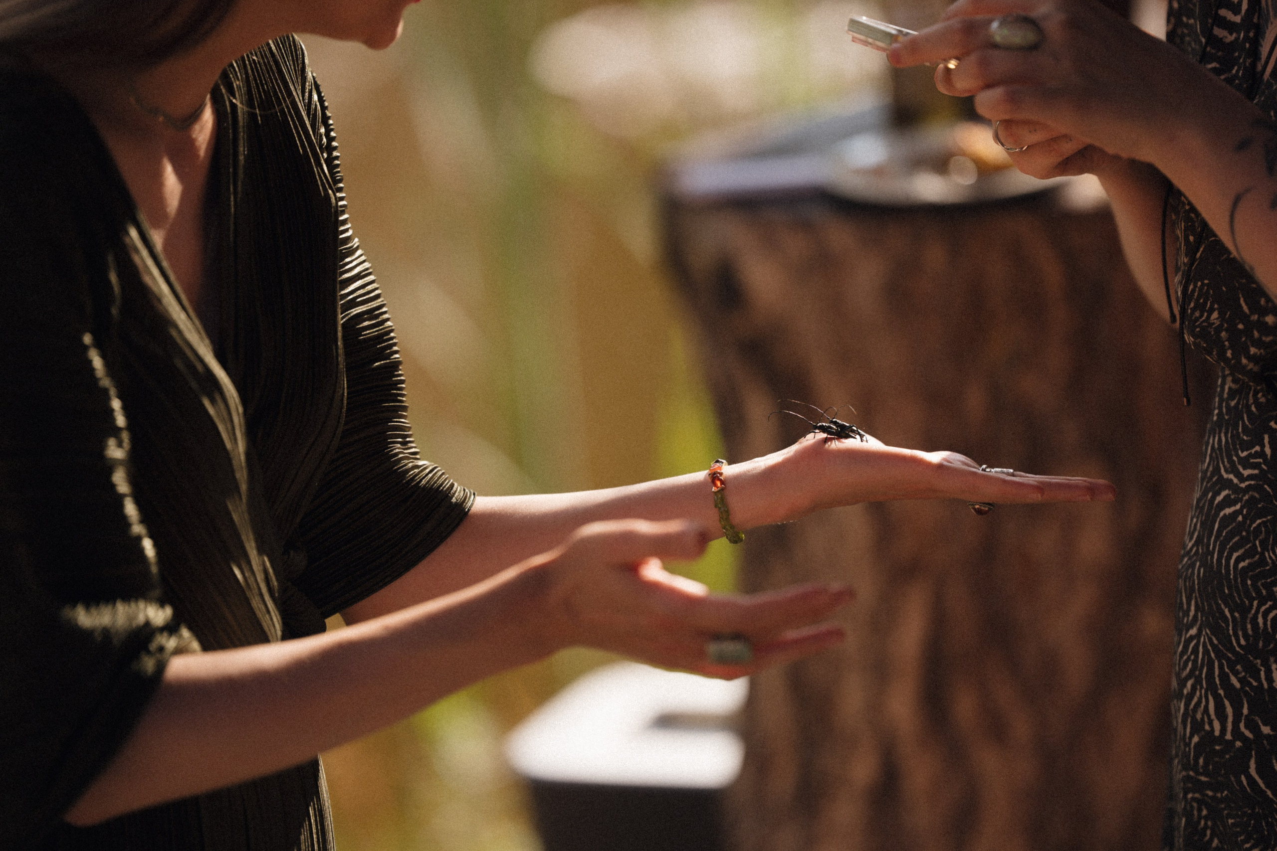 Forest Symphony. Фотограф в Санкт-Петербурге Александр Дымов