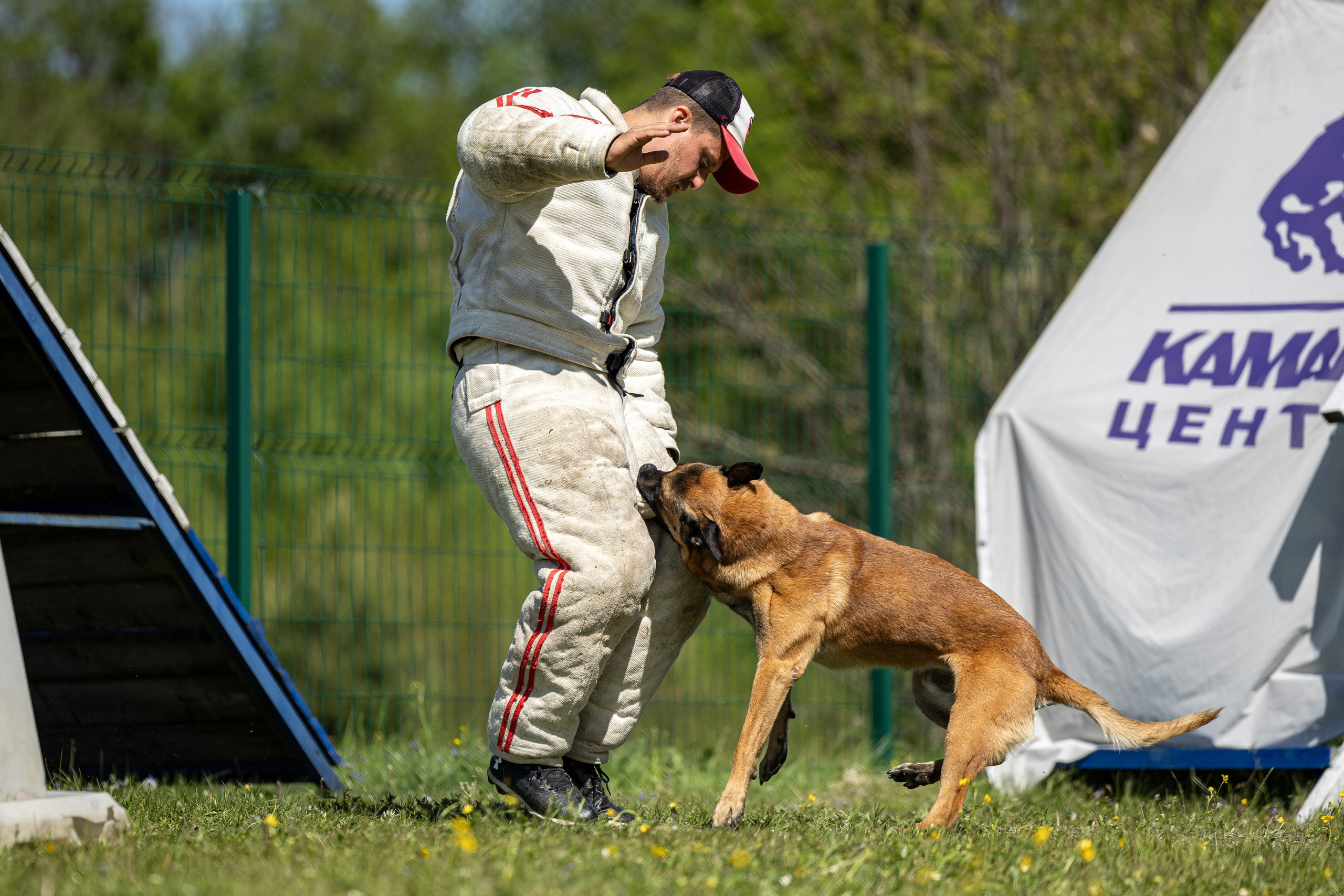 Испытания по мондьорингу в Нижнем Новгороде. Фотограф-анималист Анна Маринич