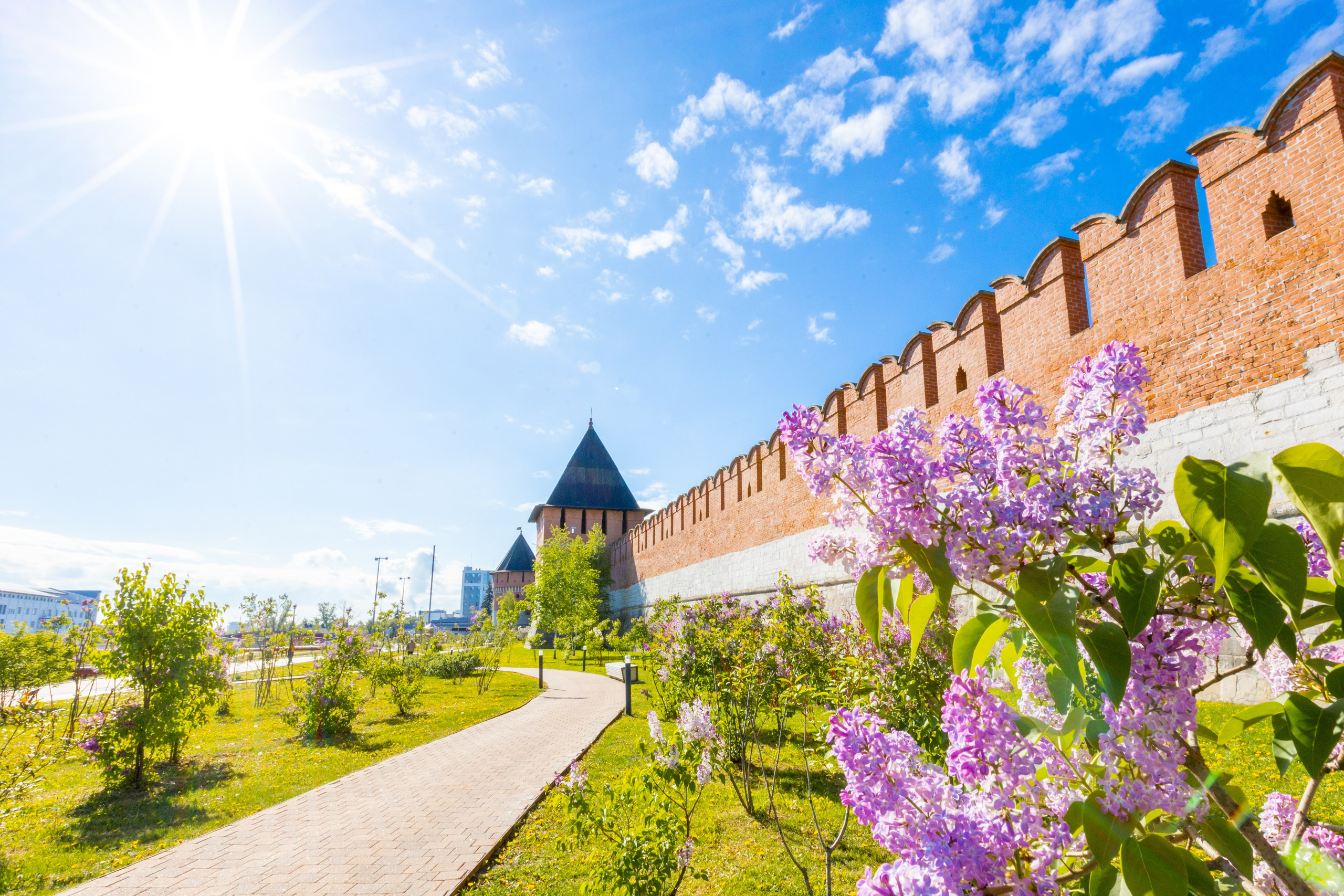 Весеннее цветение в Туле. Фотограф в Туле Крупский АнДРей. Фотостудия «КАДР71» в Туле