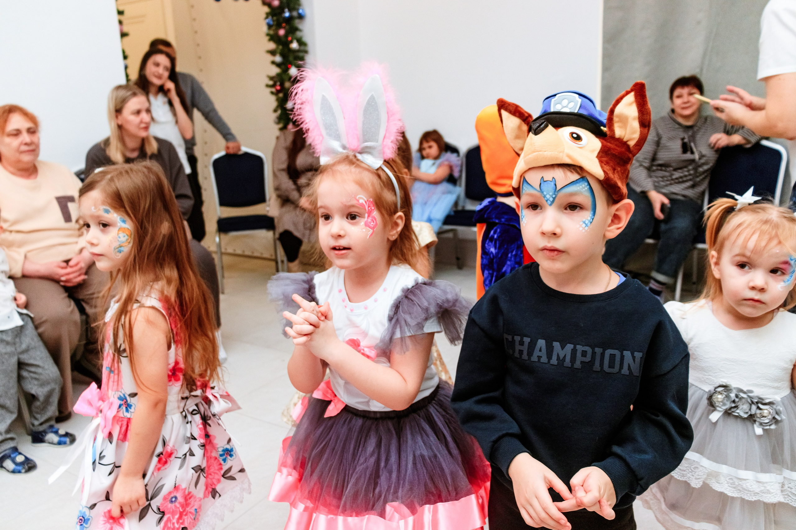 Знайка. Щенячий новый год. Фотограф — Новосибирск