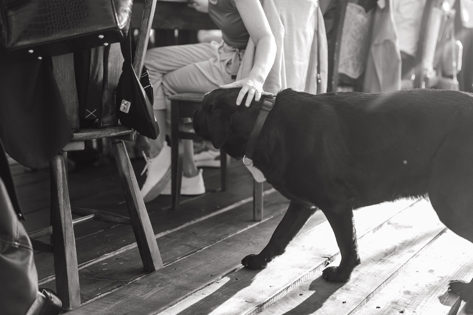 Свадьба в стиле вечеринки. Владимир Киселев — свадебный фотограф в Москве и по всему миру