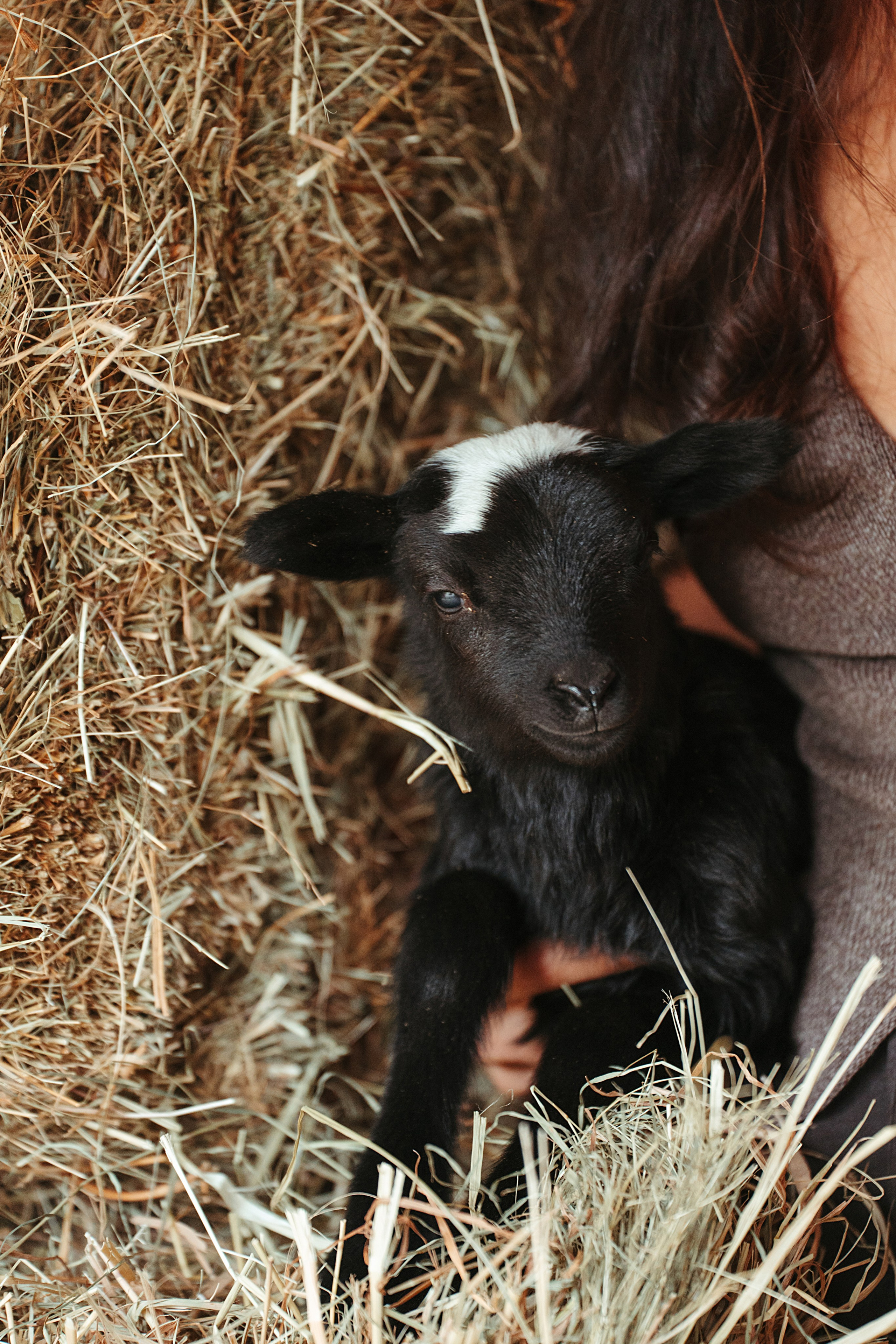 Индивидуальные. Главная