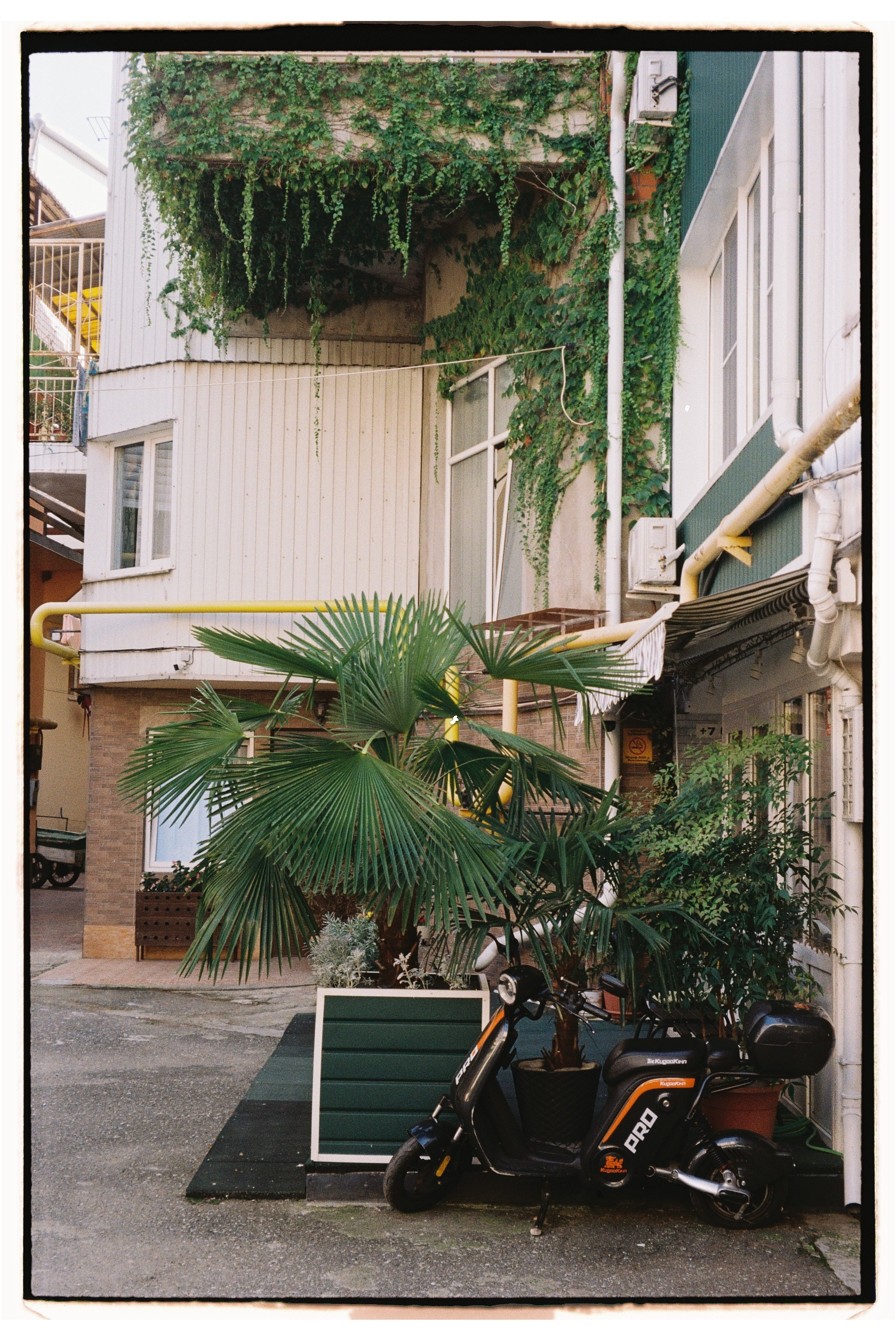 Пленочная фотография. ТАТИ | Татьяна Тихонова | фотограф | Тольятти Самара