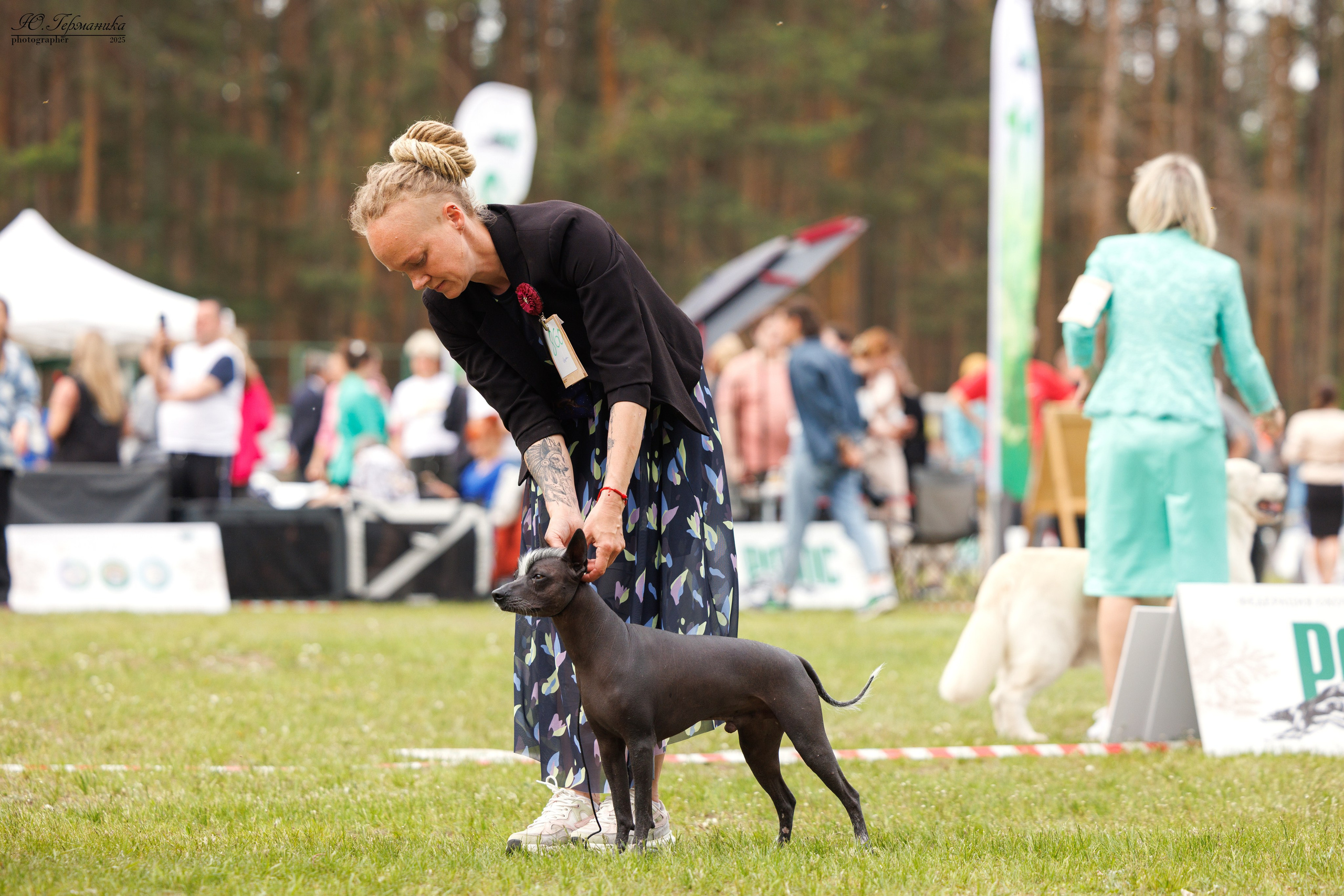 Суздаль(Владимир)17-18.05.2025. Фотограф-анималист Юлия Германика