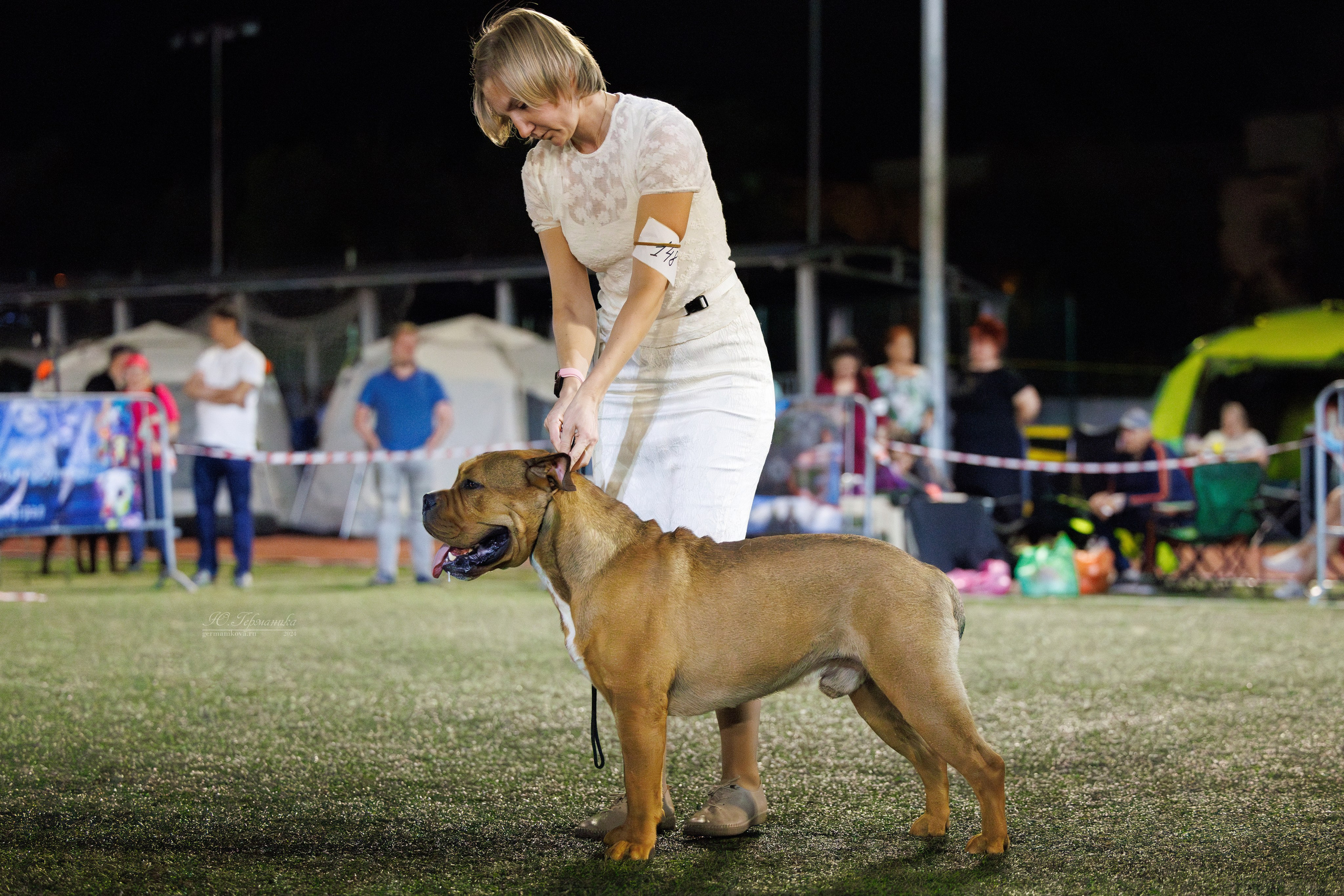 Волгоград 2-4.08.2024. Фотограф-анималист Юлия Германика