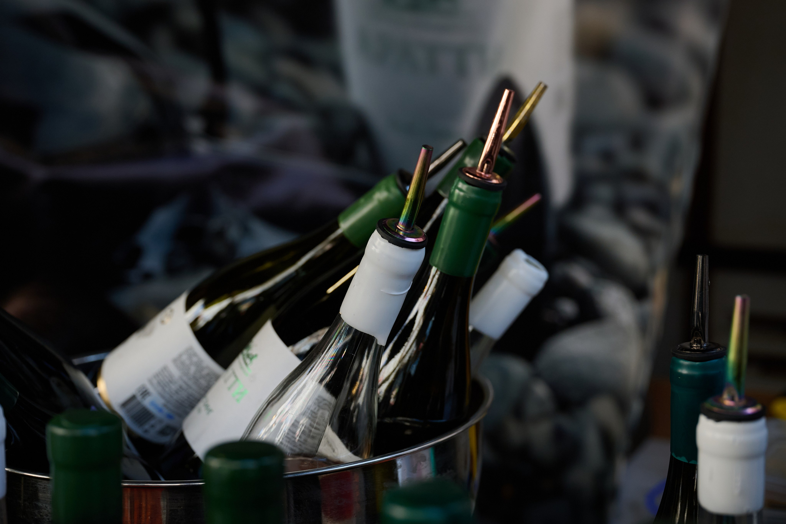 Винная ярмарка (апрель 2026). Фотограф в Самаре