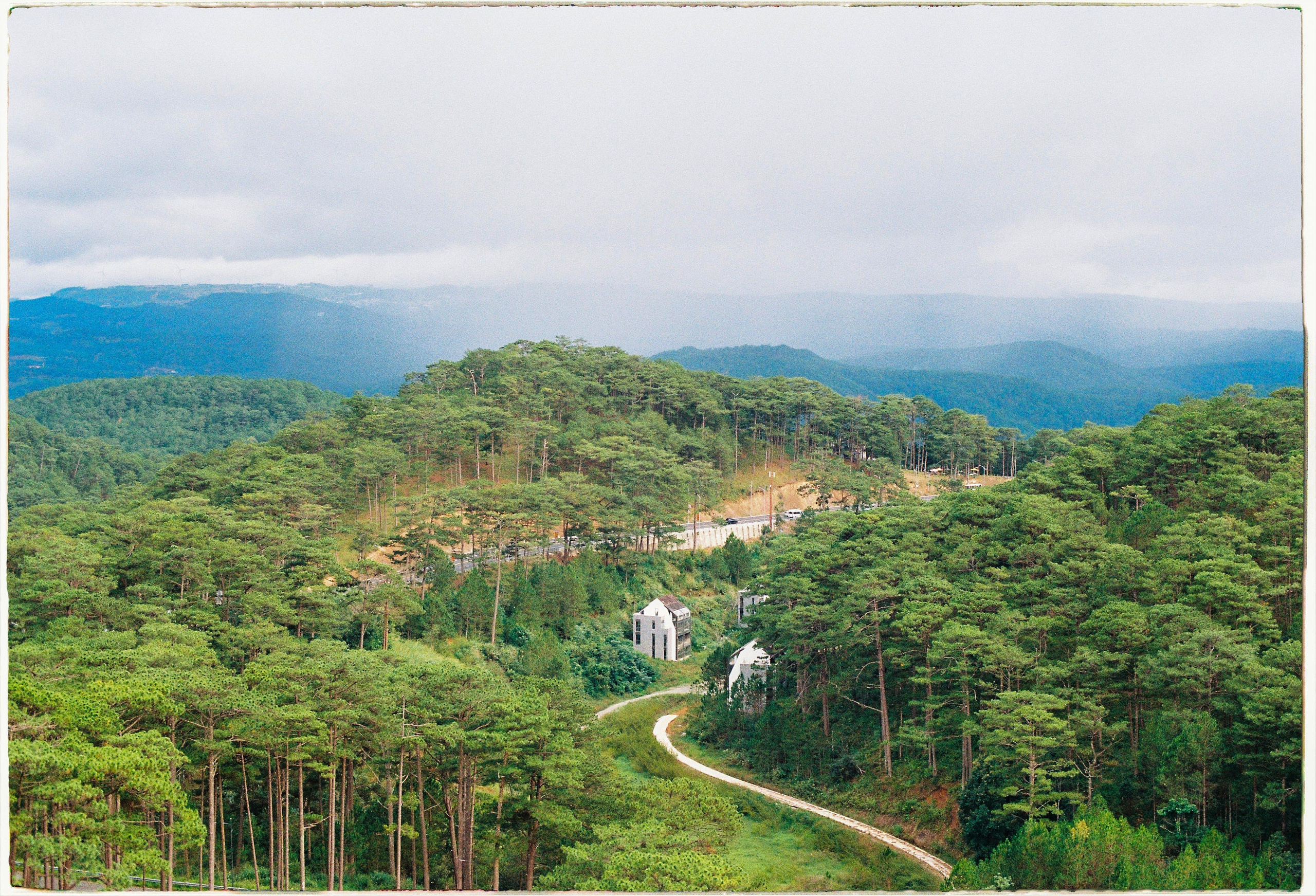 Dalat 2024. Film Photographer in Da Nang, Vietnam — Tanya Parfenteva