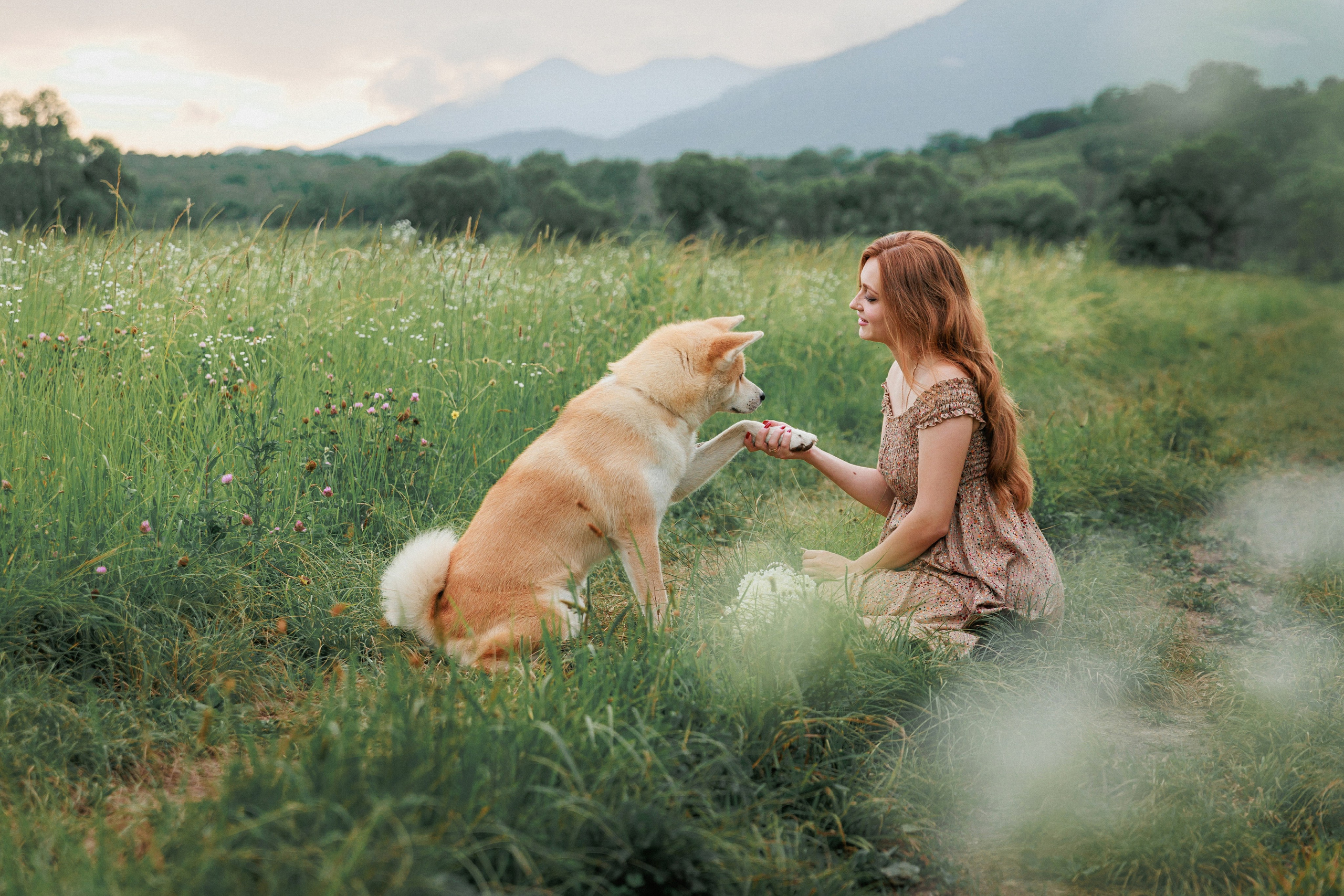 В ожидании. Свадебный, семейный и детский фотограф в городе Партизанск, Находка