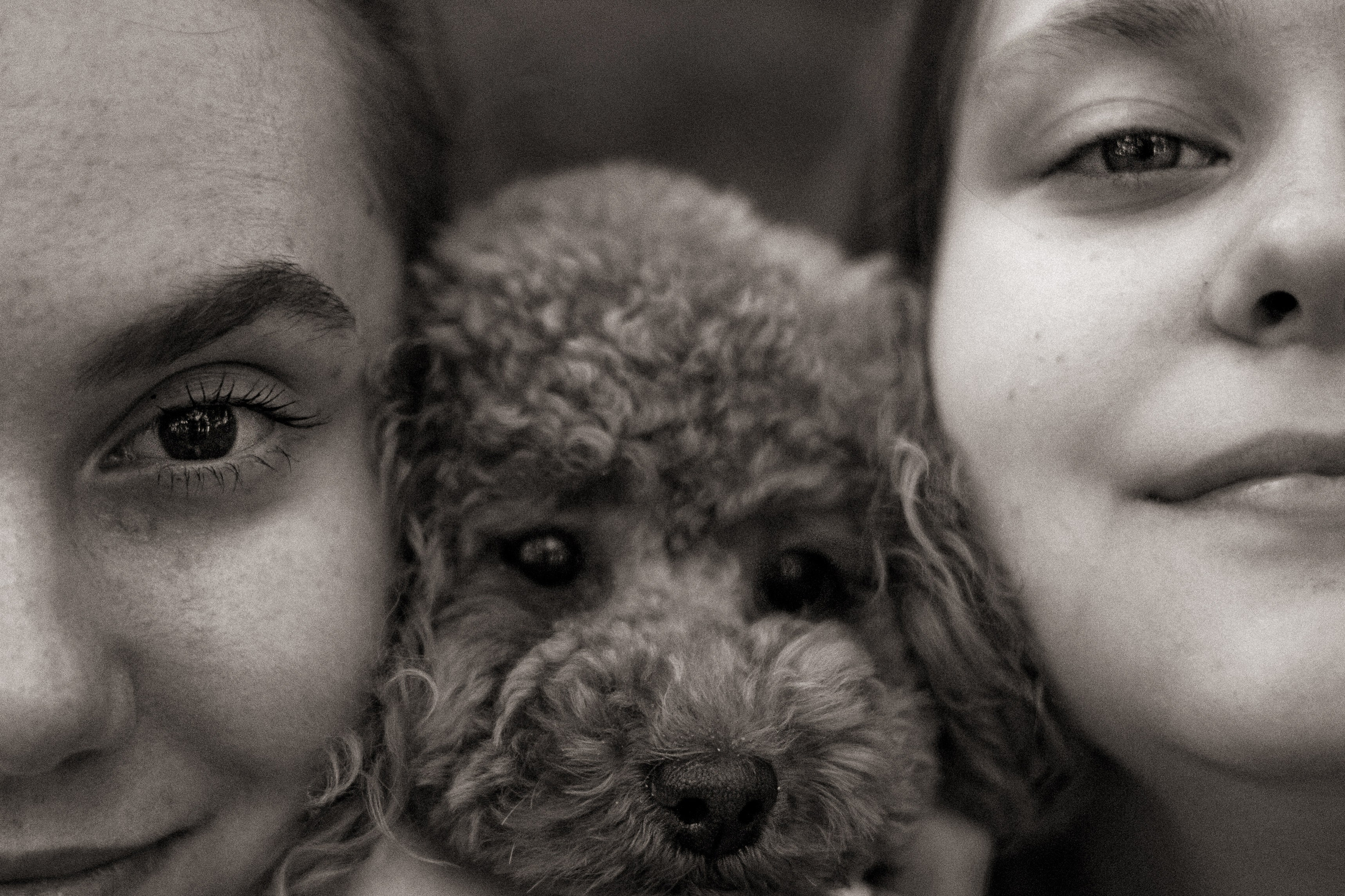 Девчонки и Филимон. Фотограф — анималист •love-story•|Санкт-Петербург