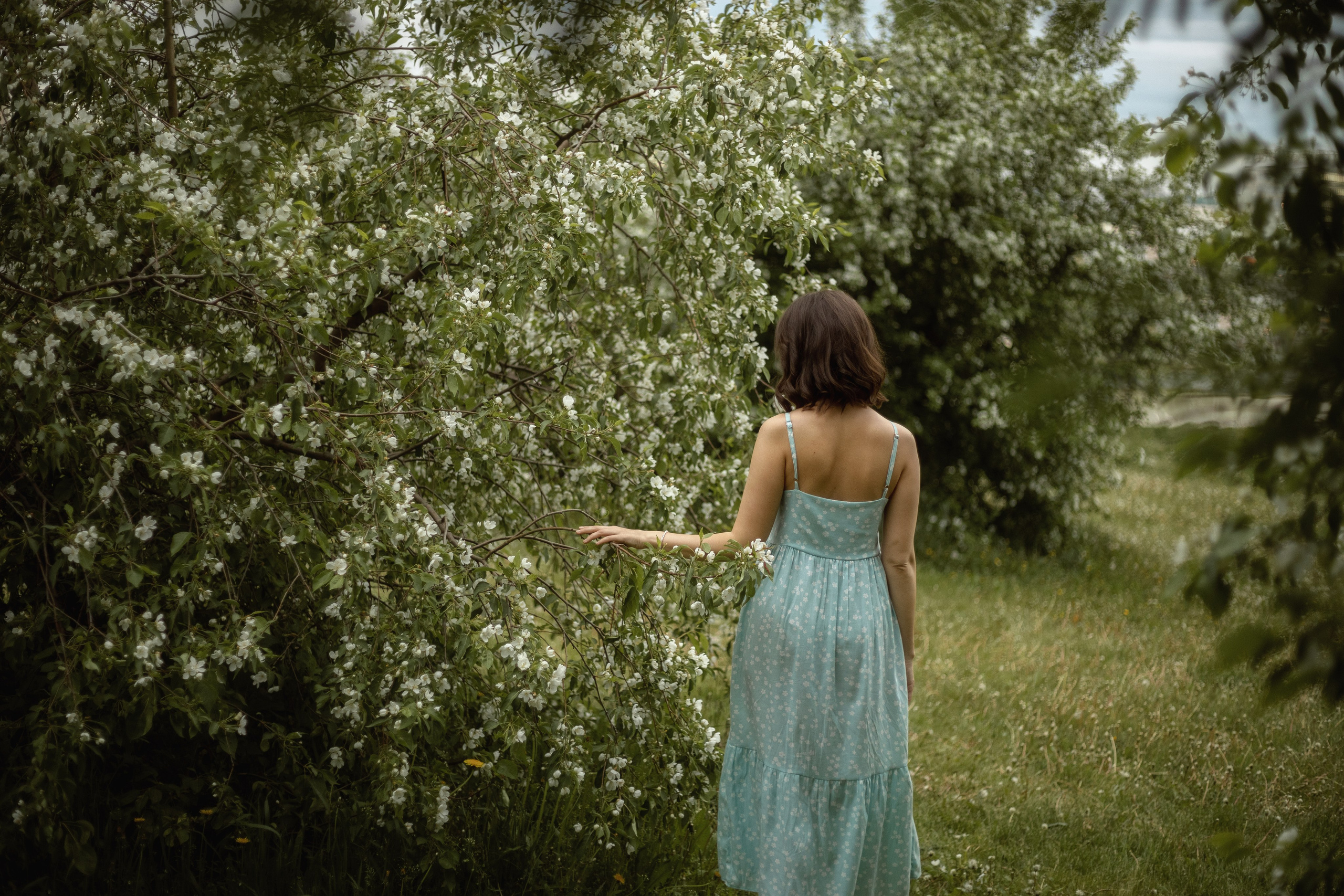 Настя цветение. Детский и семейный фотограф г. Чебоксары Оля Горбунова